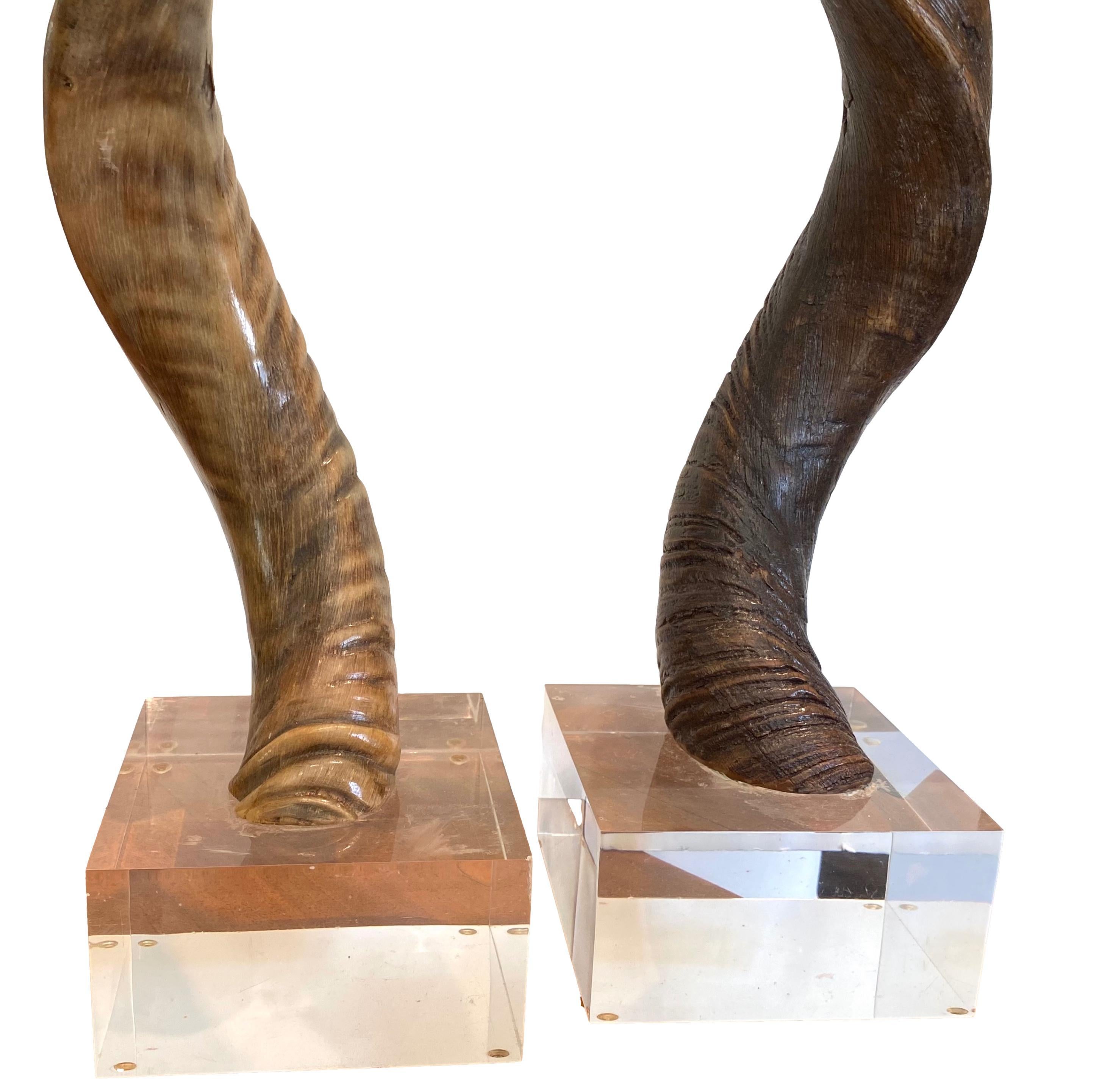 Pair of mounted Kudo horns on lucite blocks....

Two pieces measure:
33