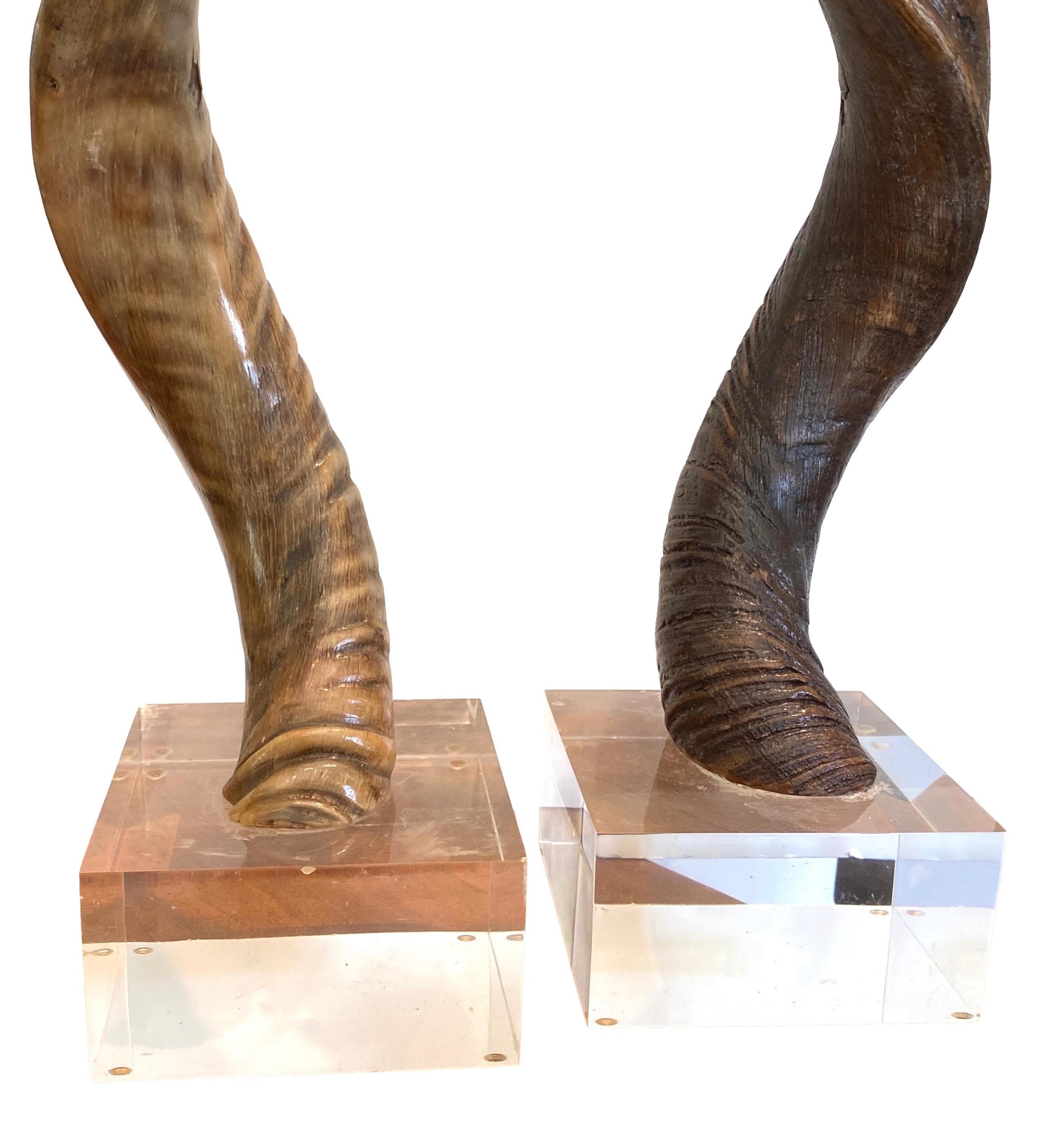 Pair of Kudo Horns Mounted on Lucite In Good Condition For Sale In East Hampton, NY