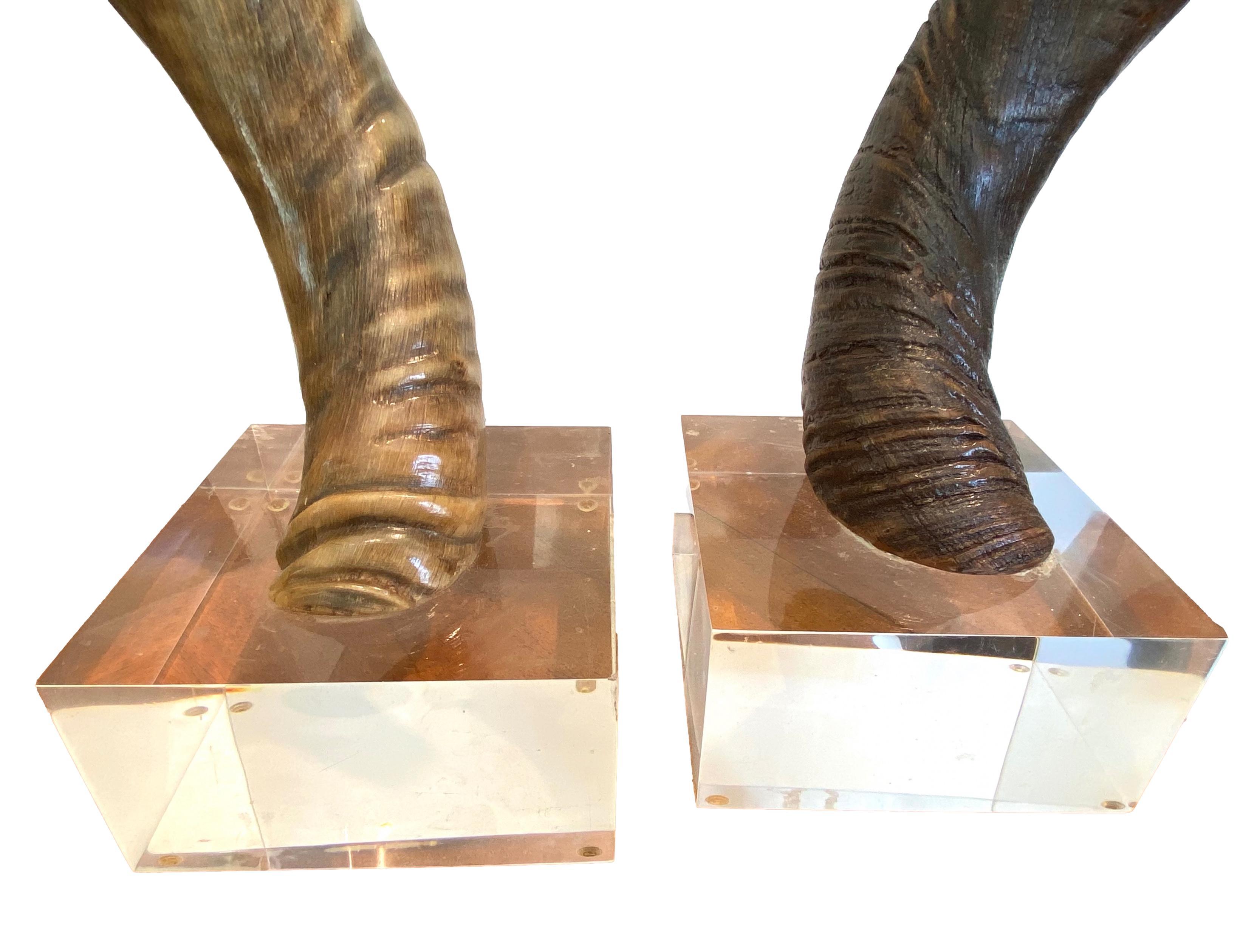 Pair of Kudo Horns Mounted on Lucite 1