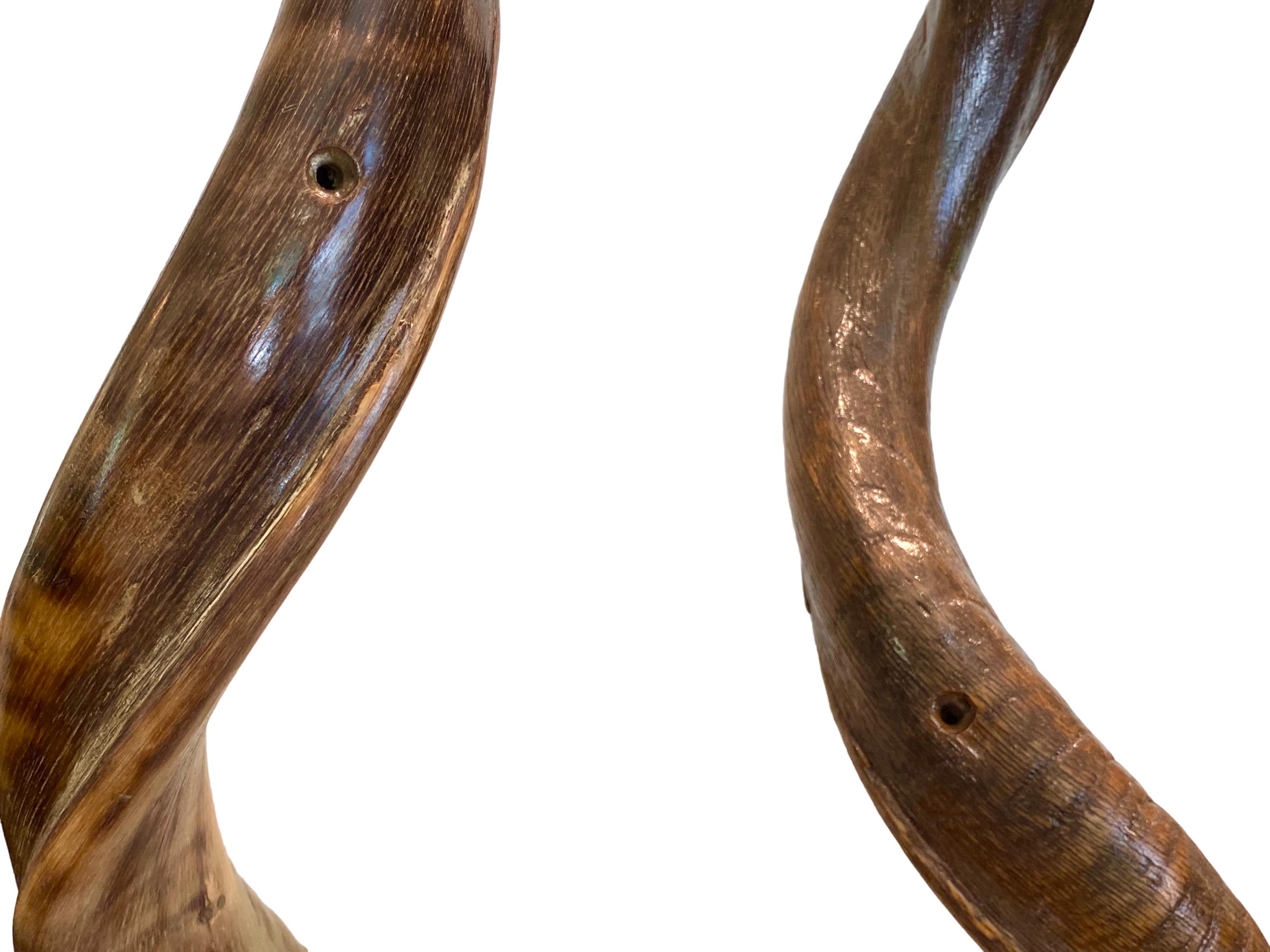 Pair of Kudo Horns Mounted on Lucite 4