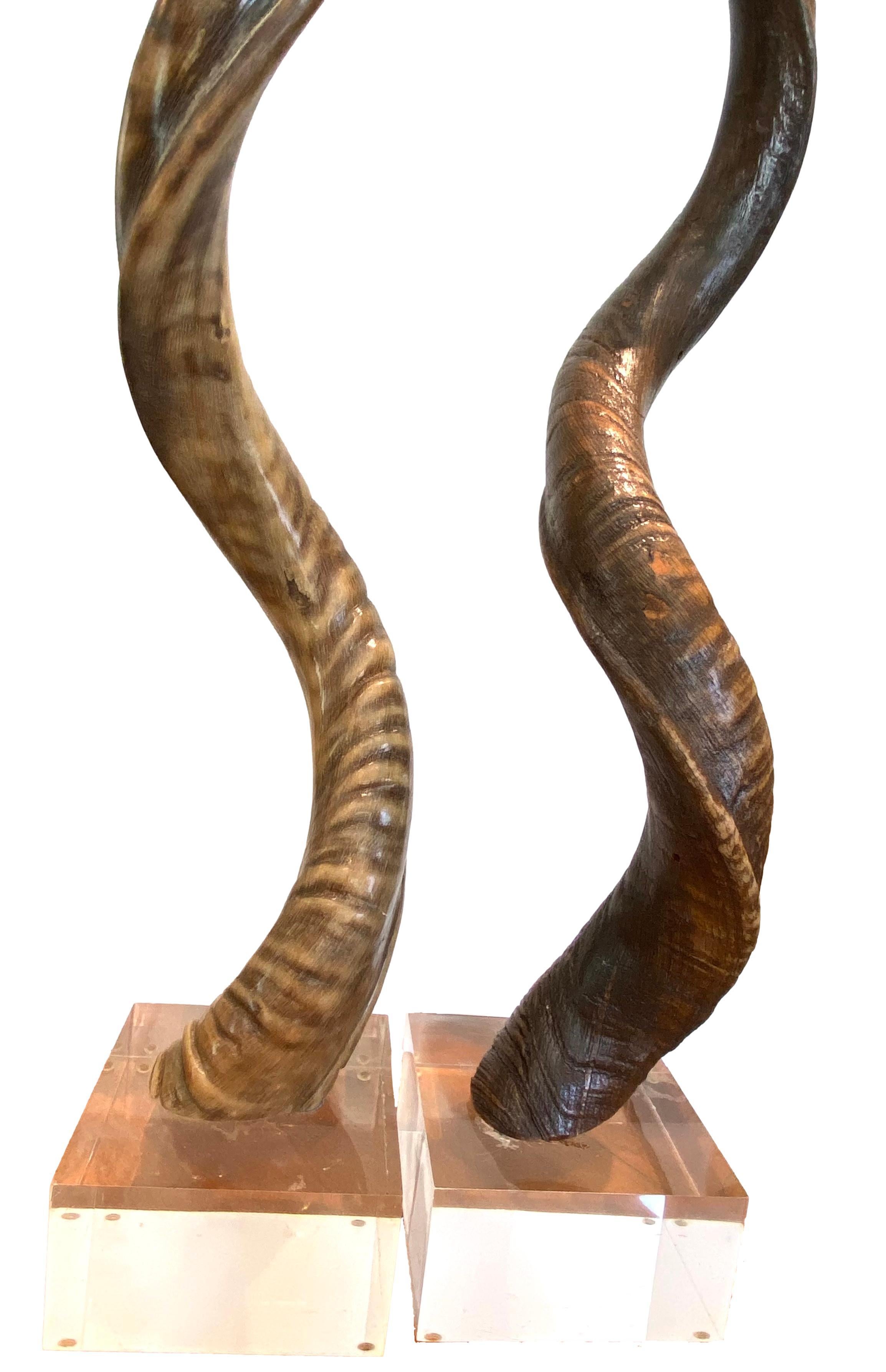 Pair of Kudo Horns Mounted on Lucite For Sale 5
