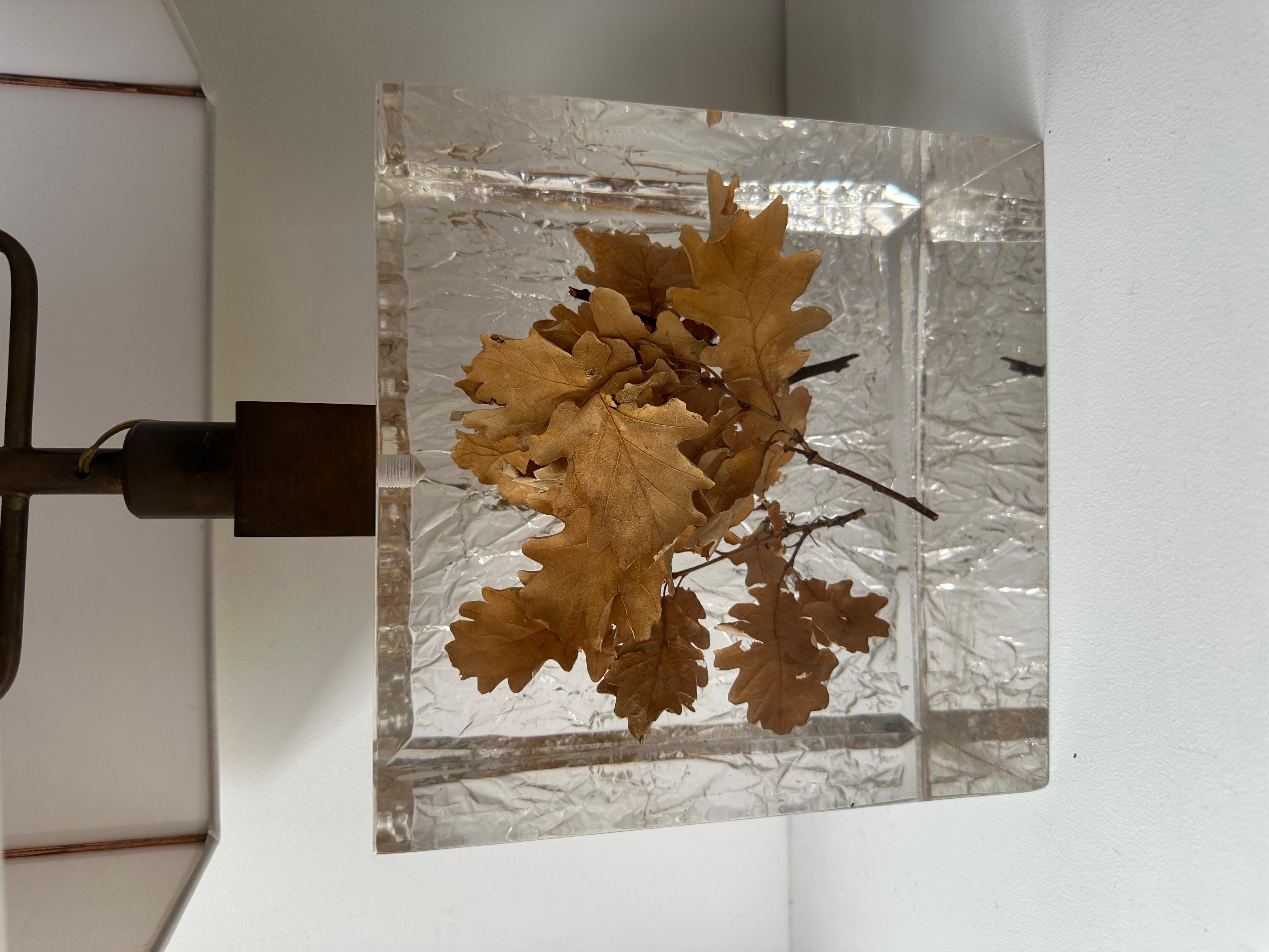 Pair of Lamps  Fractal Resin Inclusion Leaves and Brass, France, 1970s For Sale 1