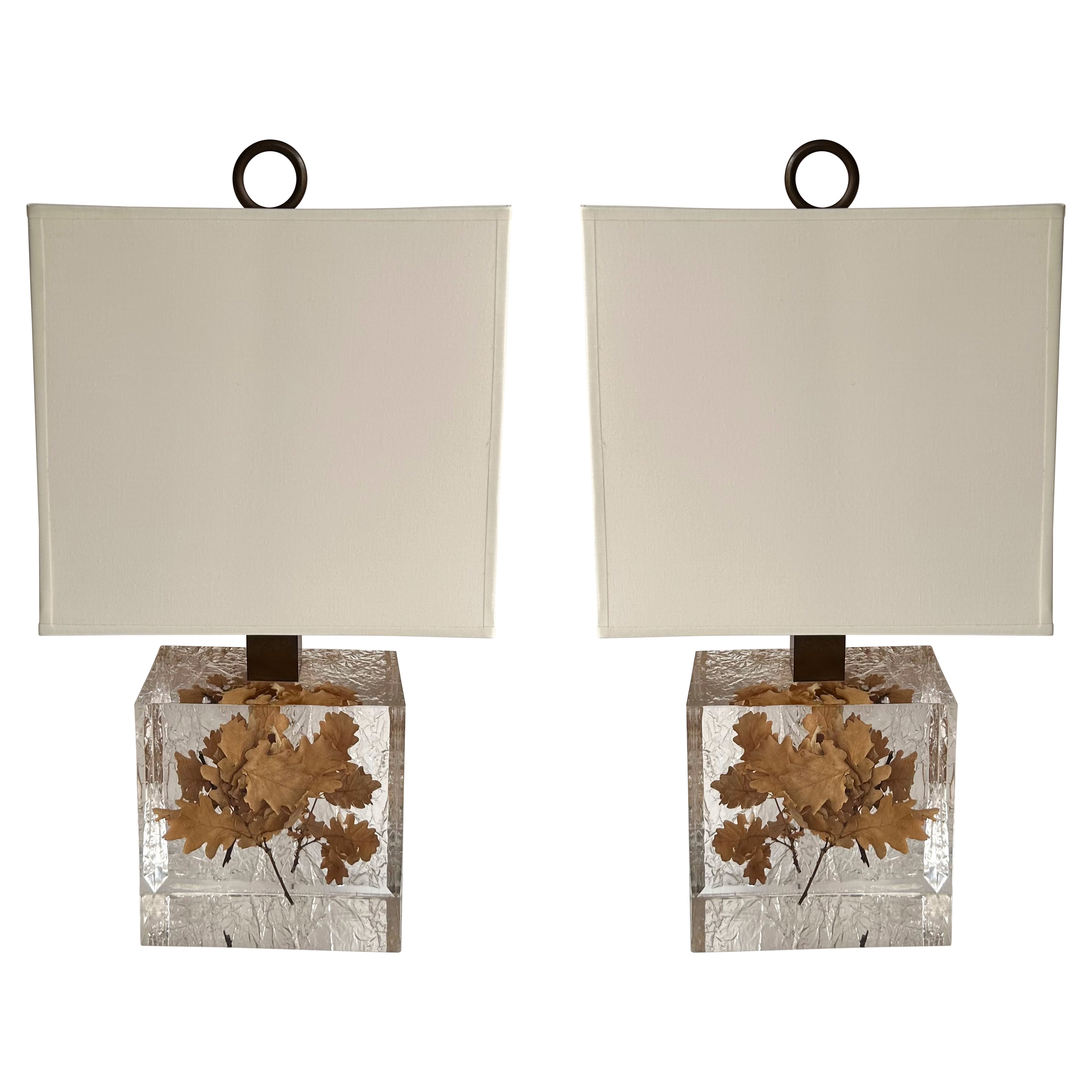 Pair of Lamps  Fractal Resin Inclusion Leaves and Brass, France, 1970s For Sale