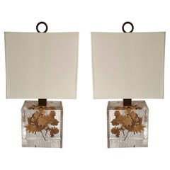 Pair of Lamps  Fractal Resin Inclusion Leaves and Brass, France, 1970s