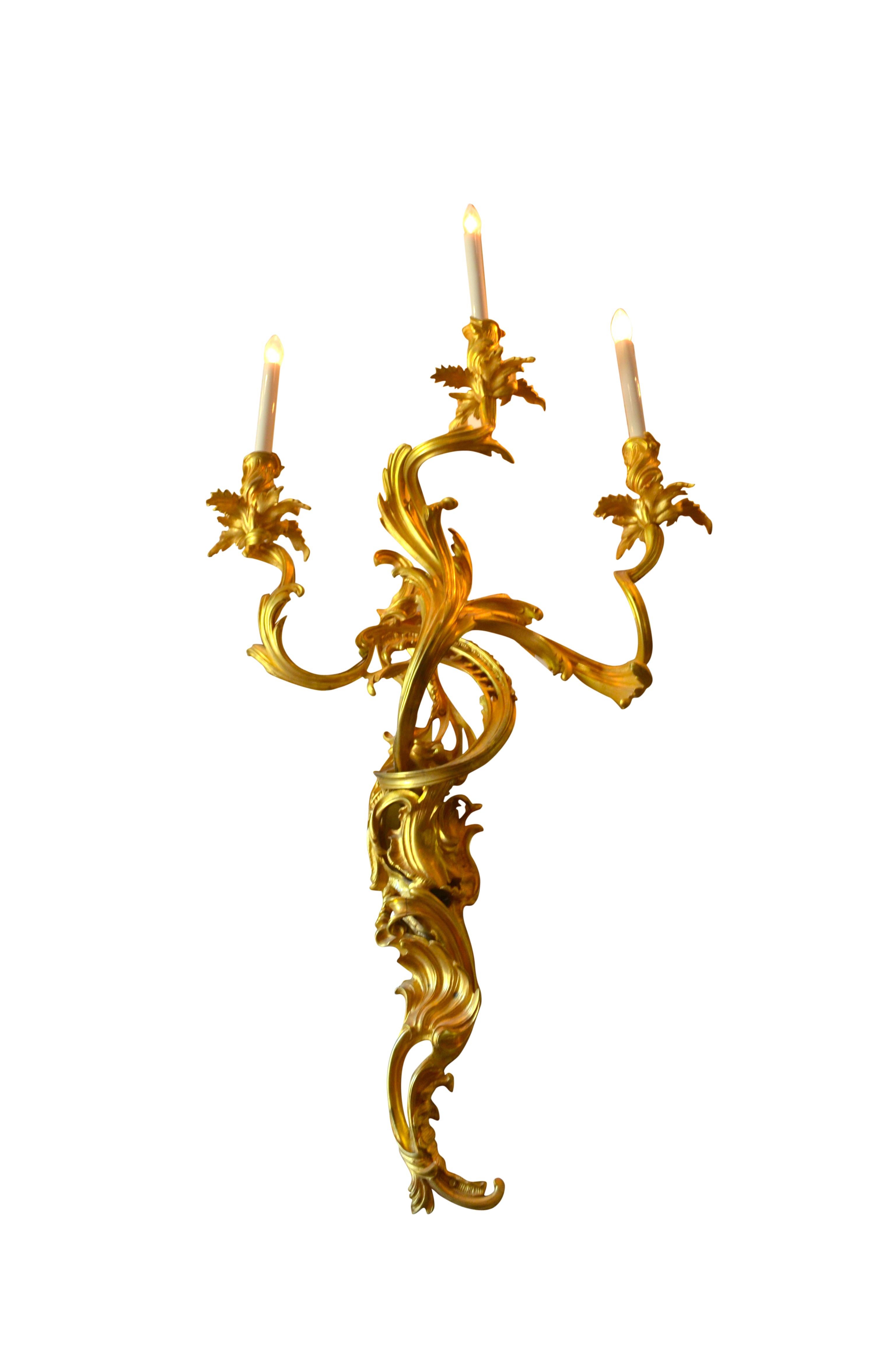 Pair of large Louis XV style gilt bronze wall sconces; French late 19th century, each with voluted backplate cast with foliate scrolls and palmettes, and with voluted intertwined foliate candle arms fitted with foliate drip pans and nozzles.
 