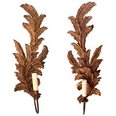 Pair of Large 1940s Italian Carved Giltwood Leaf Sconces with Single Fittings