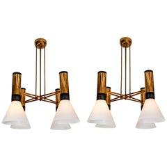 Mid-Century Modern Chandeliers and Pendants
