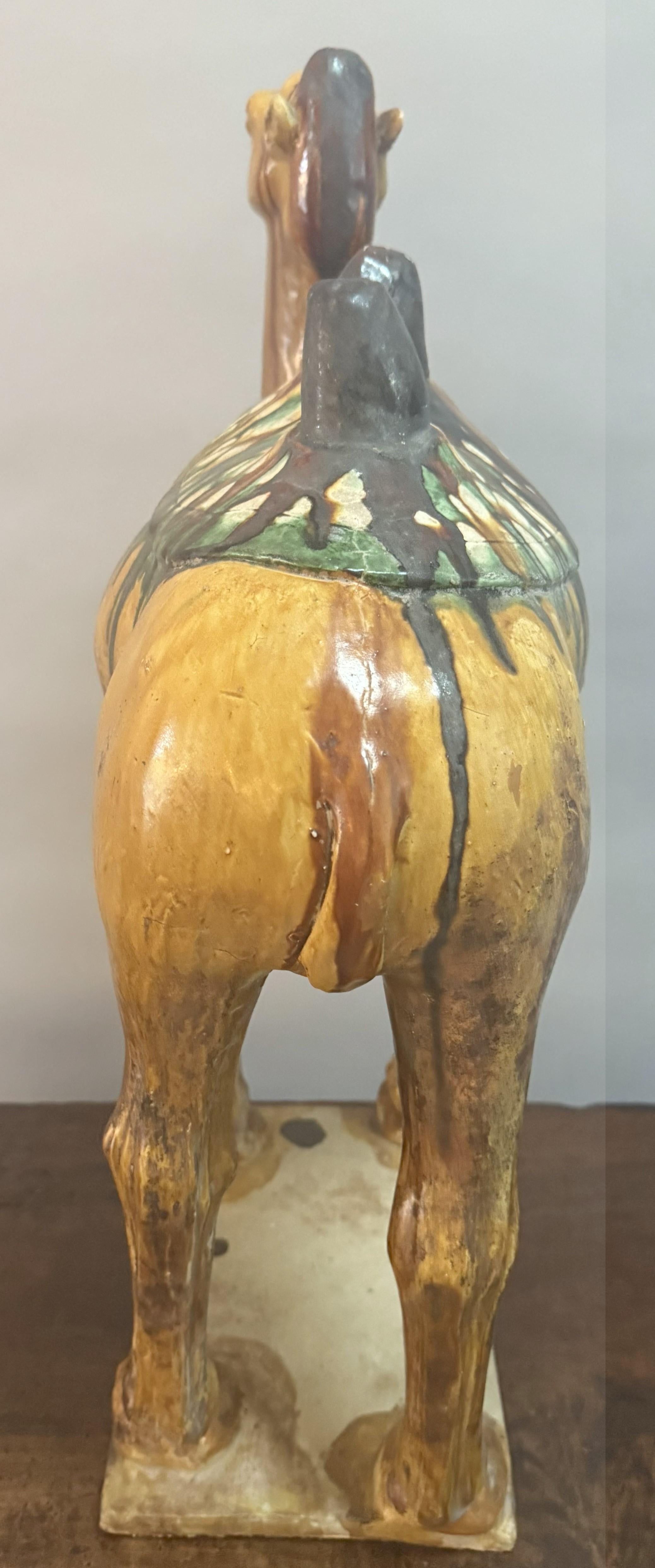 Paar große chinesische Kamelfiguren aus glasierter Keramik des 19. im Angebot 4