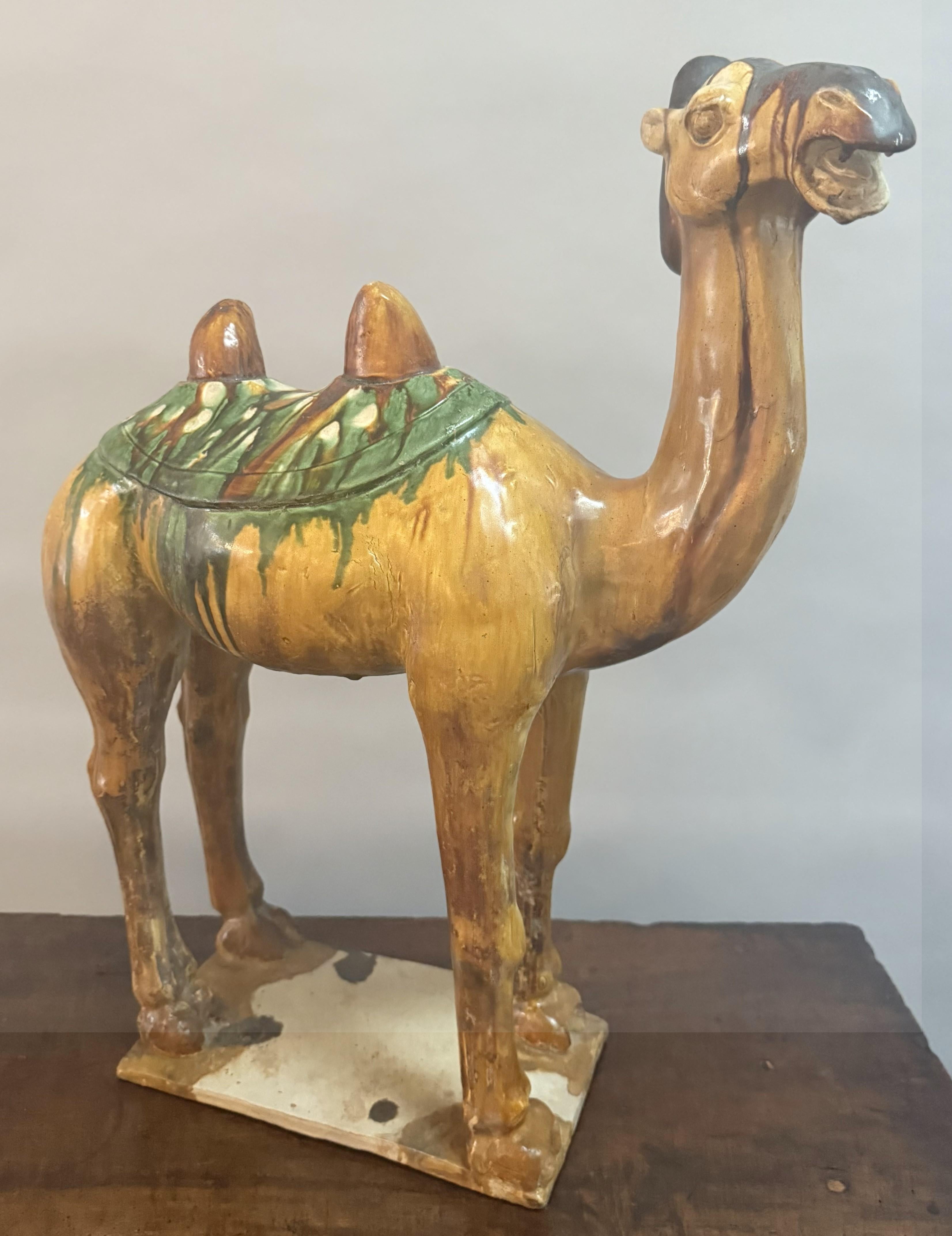 Paar große chinesische Kamelfiguren aus glasierter Keramik des 19. im Angebot 5