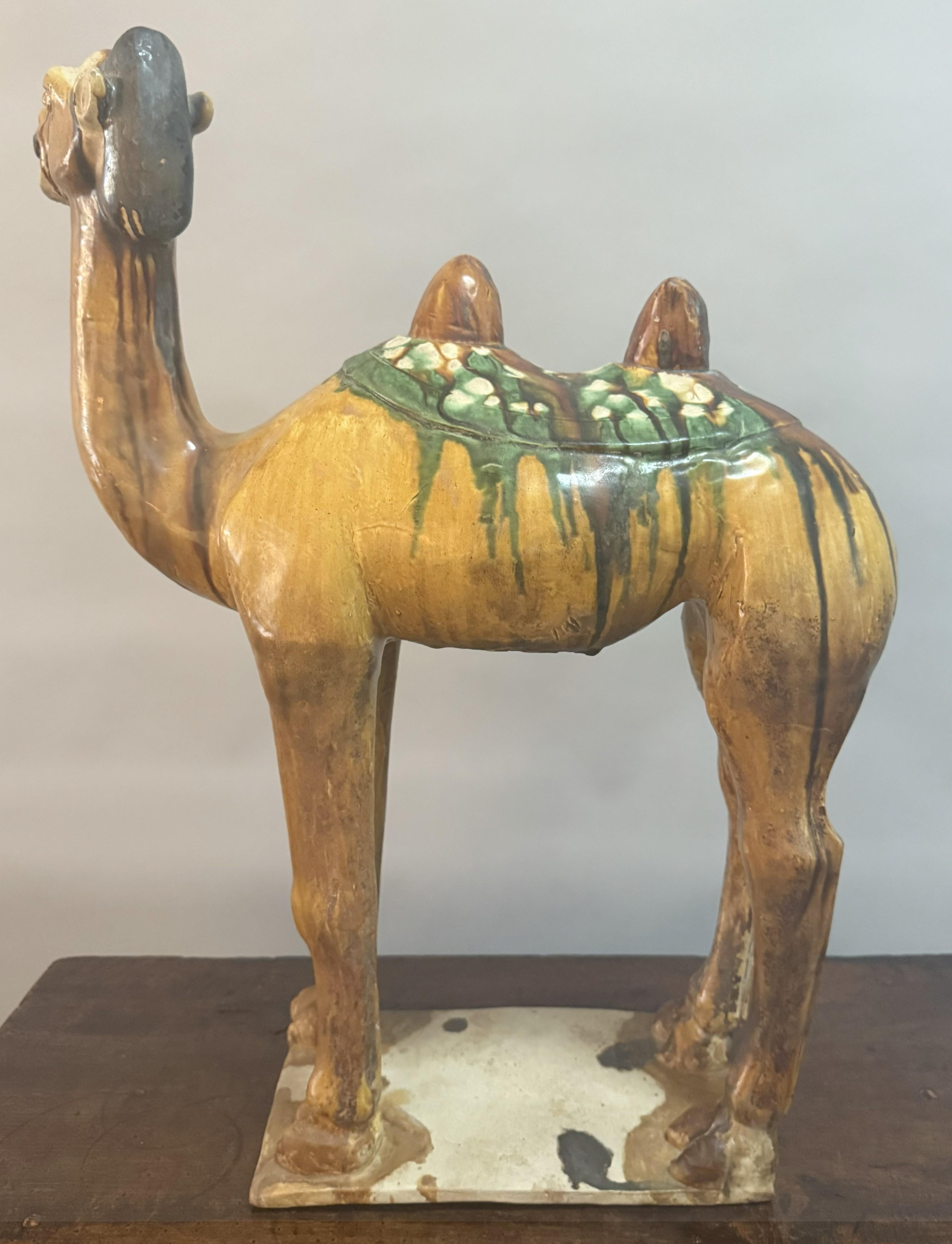 Paar große chinesische Kamelfiguren aus glasierter Keramik des 19. im Angebot 6