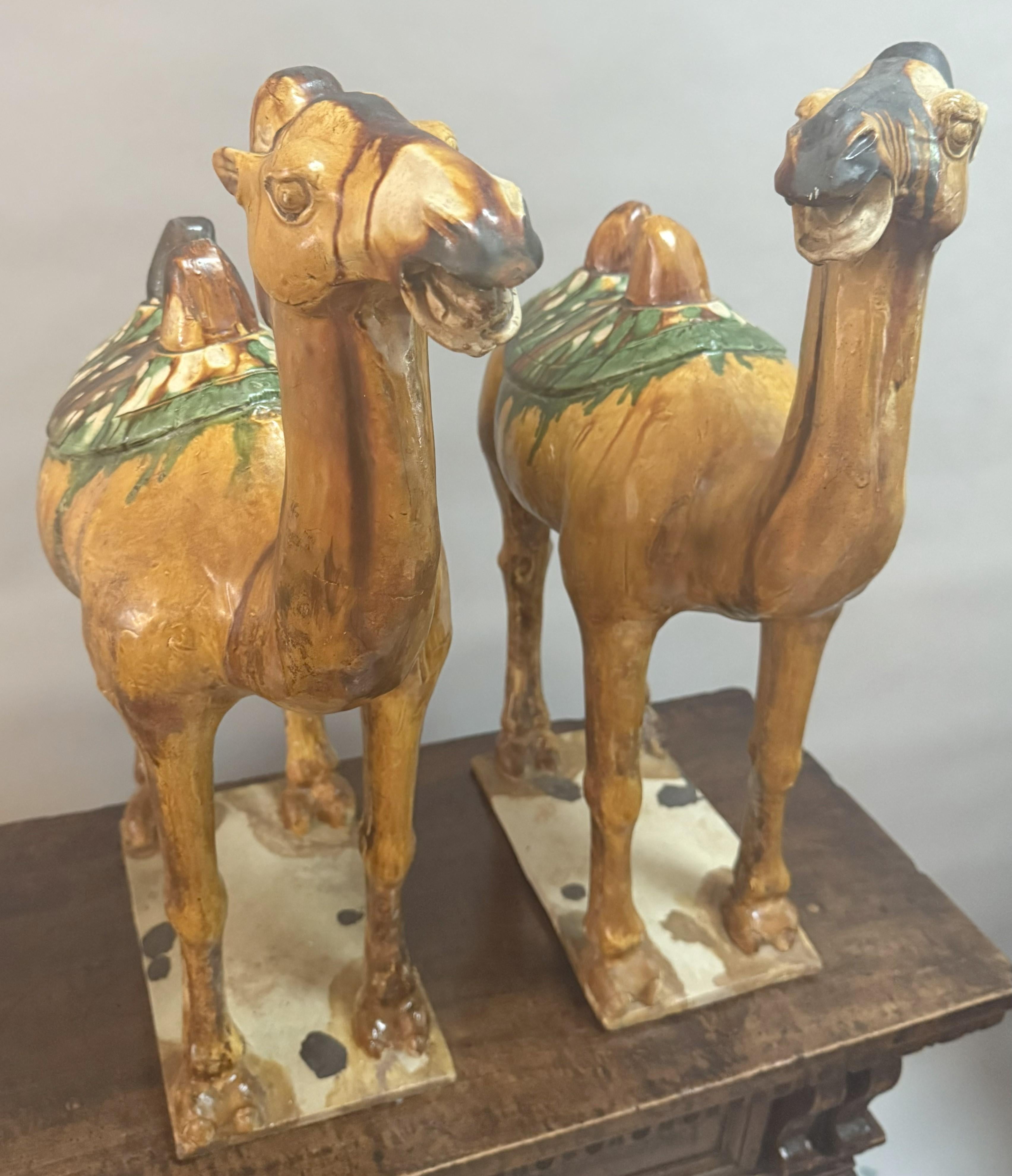 Paar große chinesische Kamelfiguren aus glasierter Keramik des 19. im Angebot 10