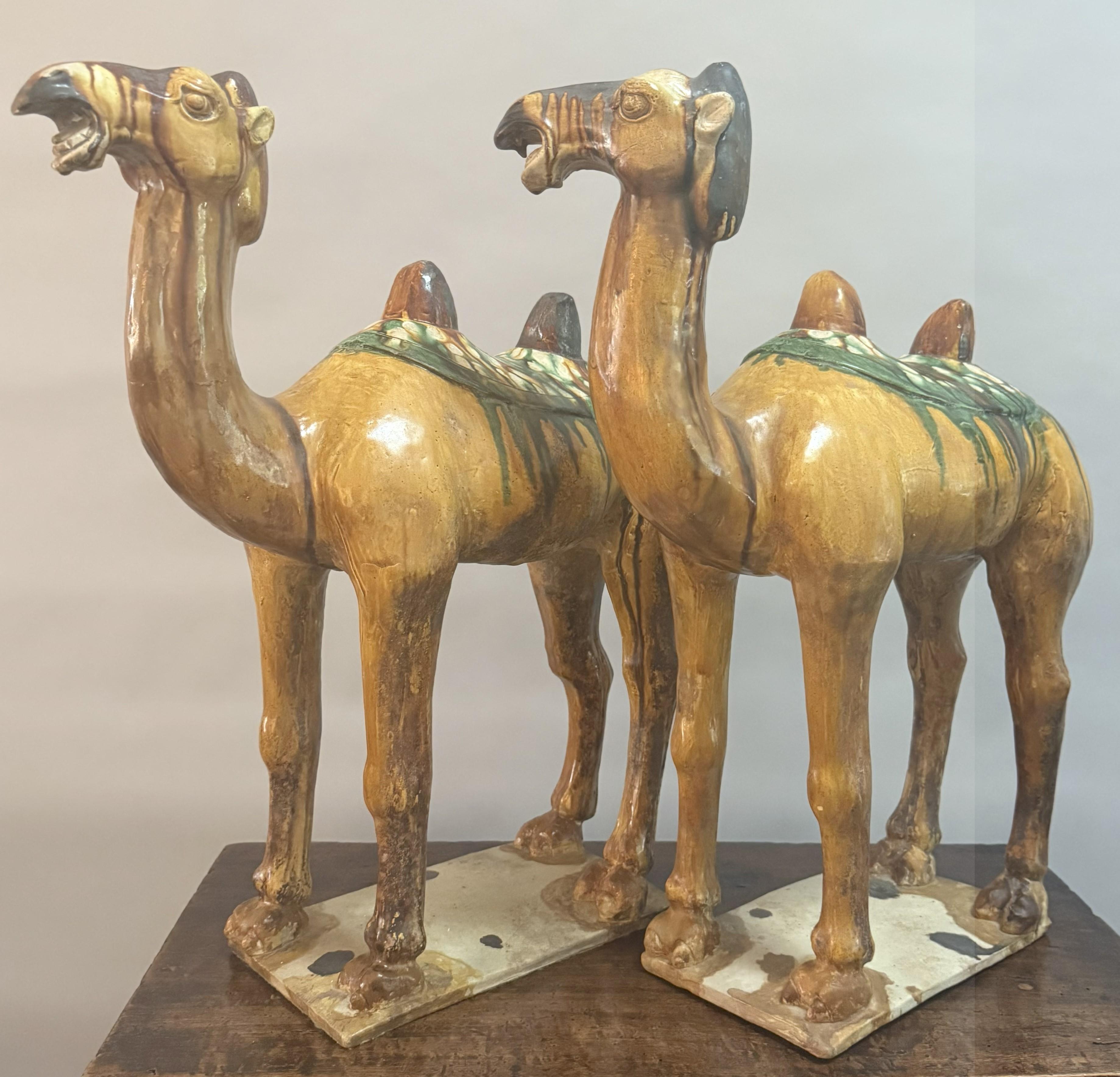 Paar große chinesische Kamelfiguren aus glasierter Keramik des 19. (Volkskunst) im Angebot