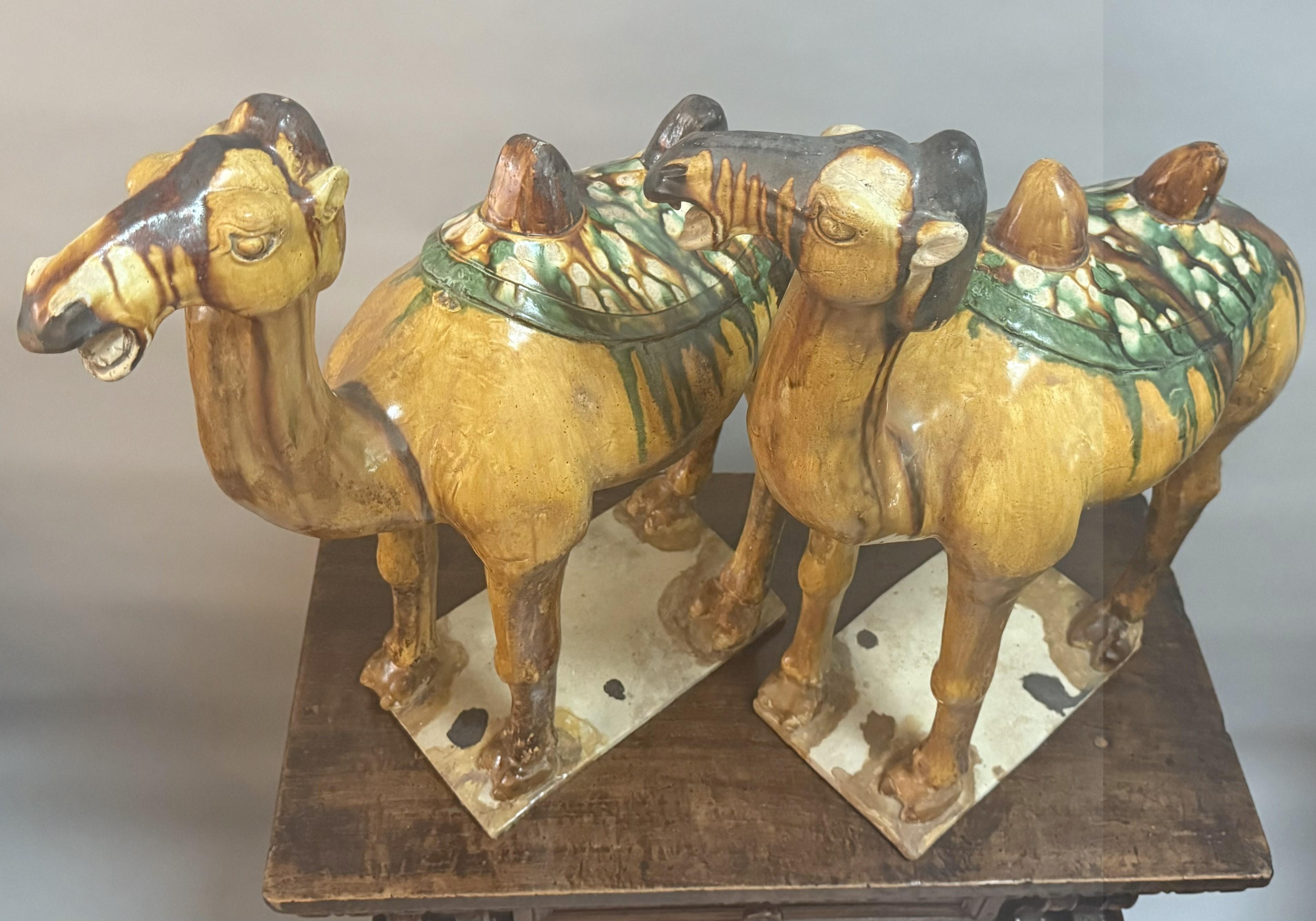 Paar große chinesische Kamelfiguren aus glasierter Keramik des 19. (Chinesisch) im Angebot