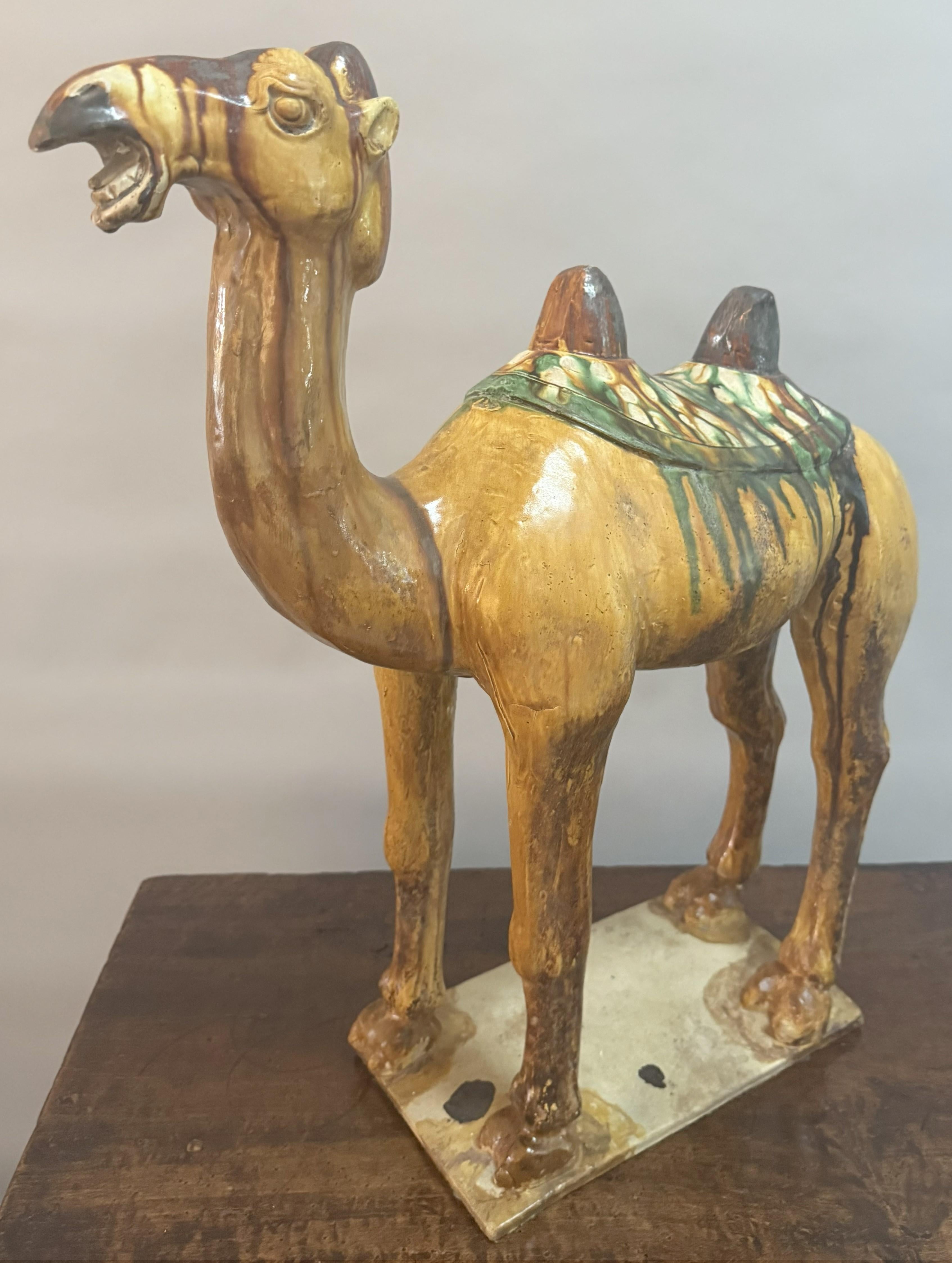 Paar große chinesische Kamelfiguren aus glasierter Keramik des 19. (19. Jahrhundert) im Angebot
