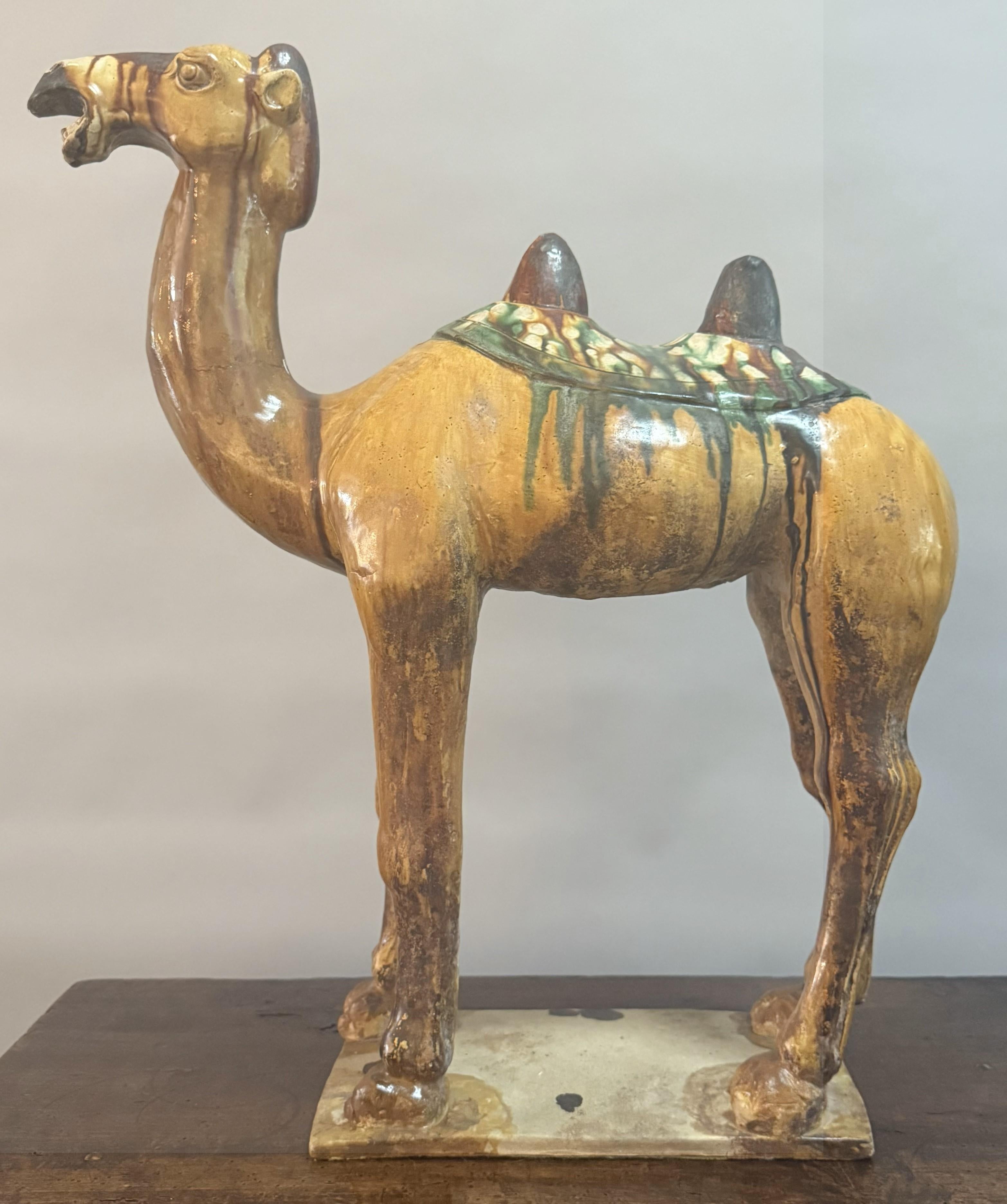 Paar große chinesische Kamelfiguren aus glasierter Keramik des 19. (Ton) im Angebot
