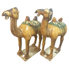 Paar große chinesische Kamelfiguren aus glasierter Keramik des 19.