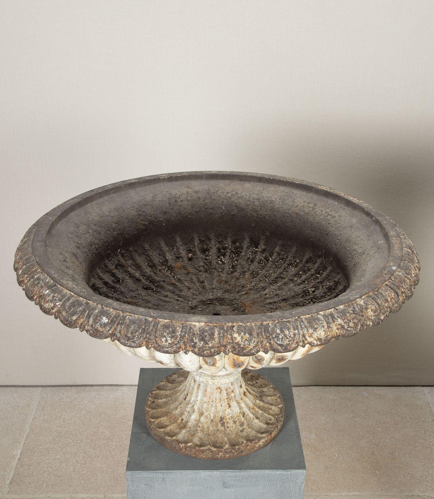 Country Pair of Large 19th Century English Cast Iron Urns For Sale