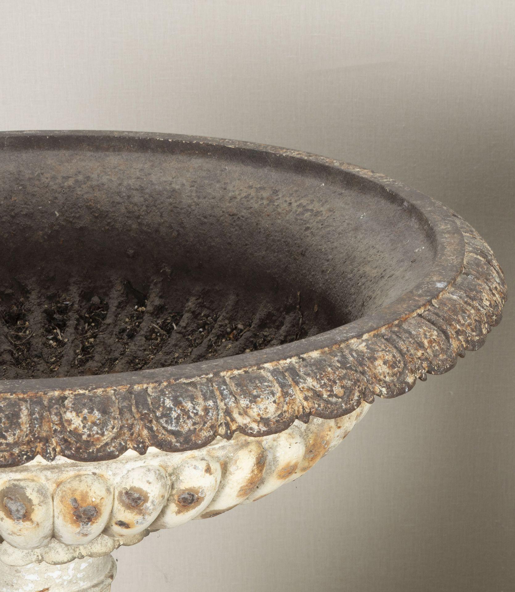 Pair of Large 19th Century English Cast Iron Urns In Good Condition For Sale In Gloucestershire, GB