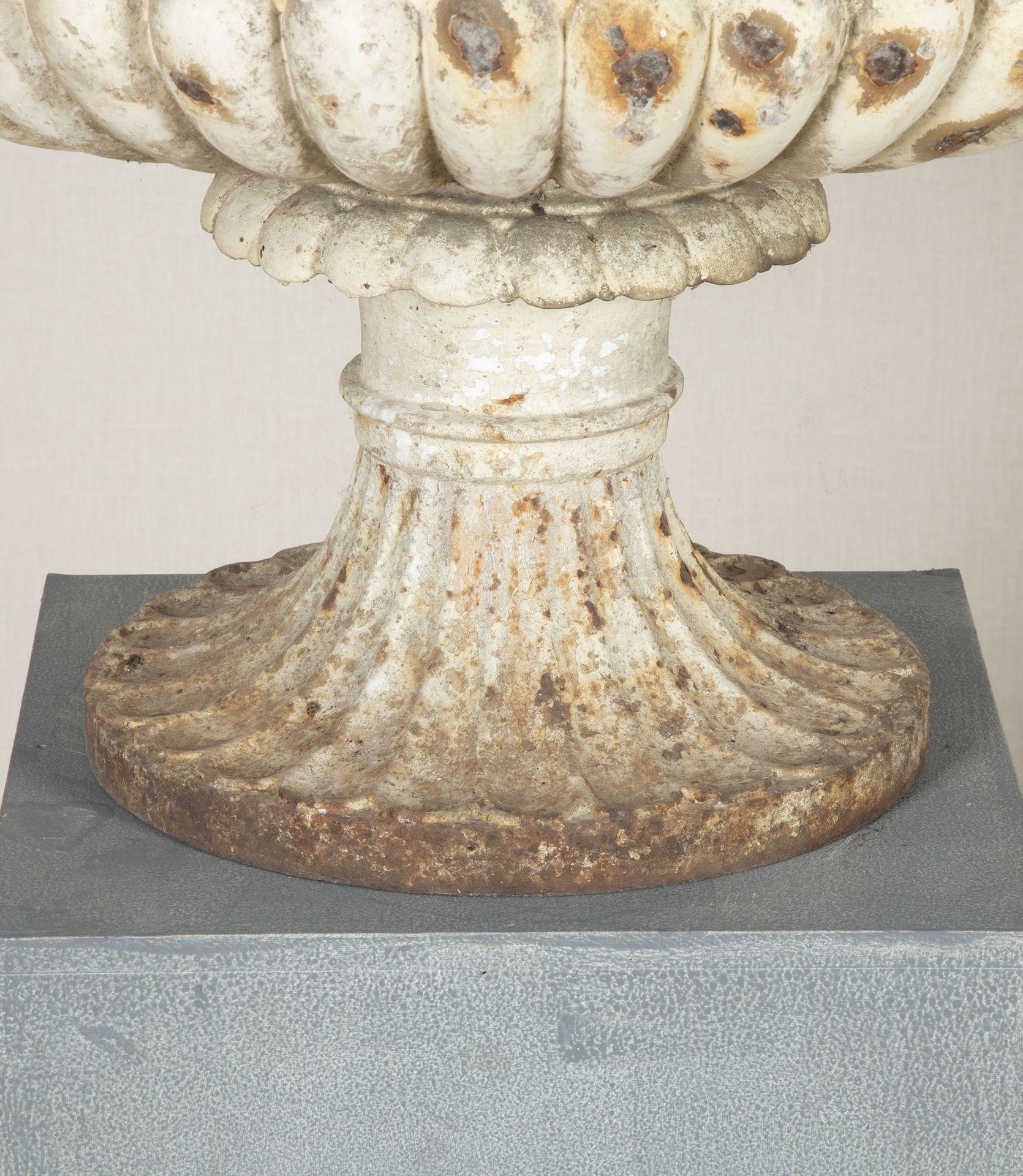 Pair of Large 19th Century English Cast Iron Urns For Sale 2