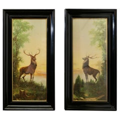 Antique Pair of Large 19th Century Framed Highland Red Deer Stags