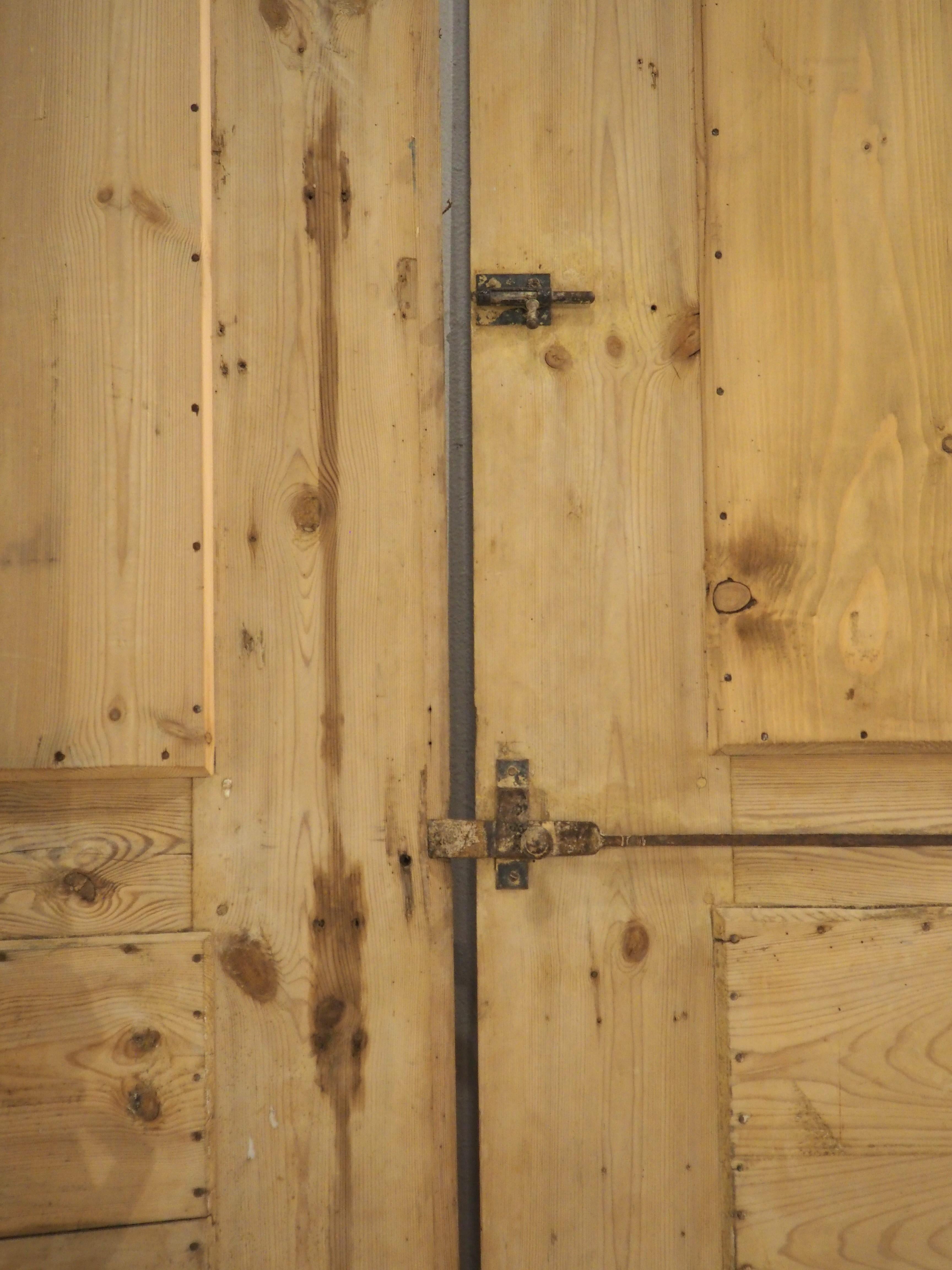 Pair of Large 19th Century French Gothic Style Doors in Carved Pine 14