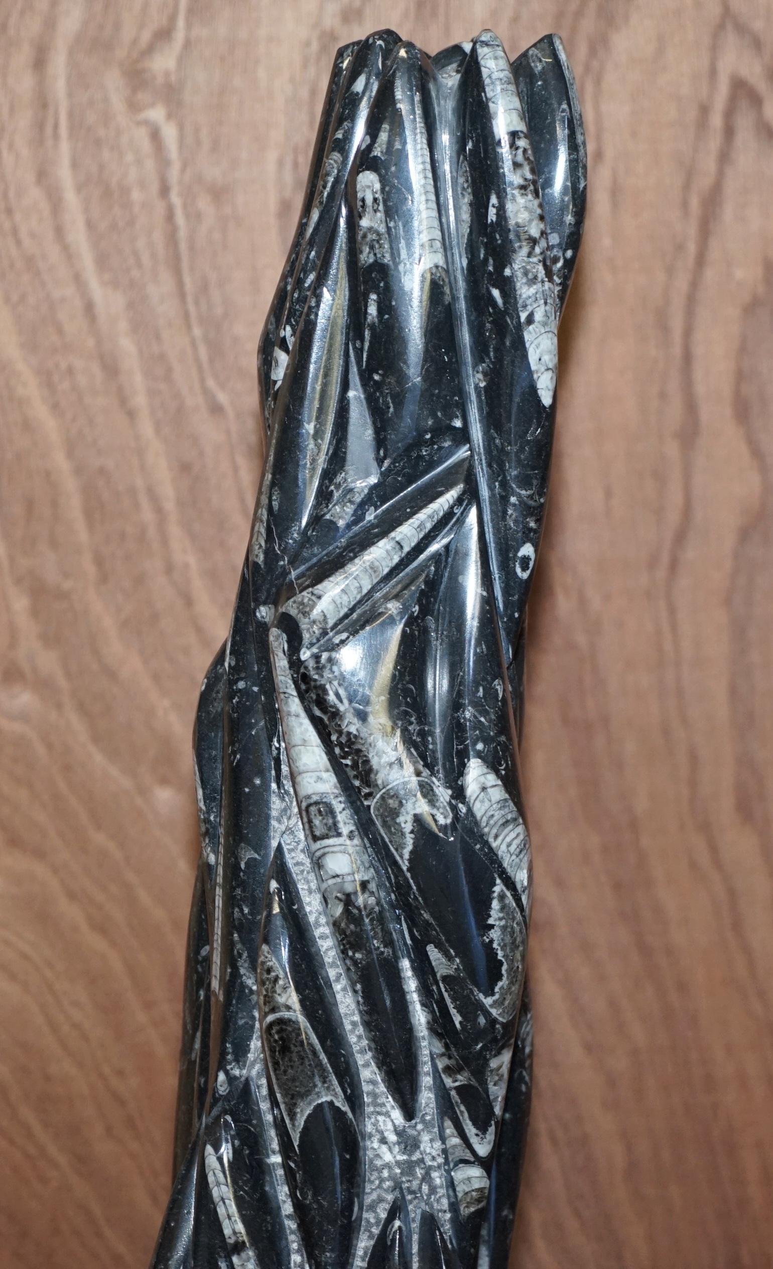 Pair of Large 395 Million Year Old Fossilized Orthoceras Marble Finish Statues For Sale 9