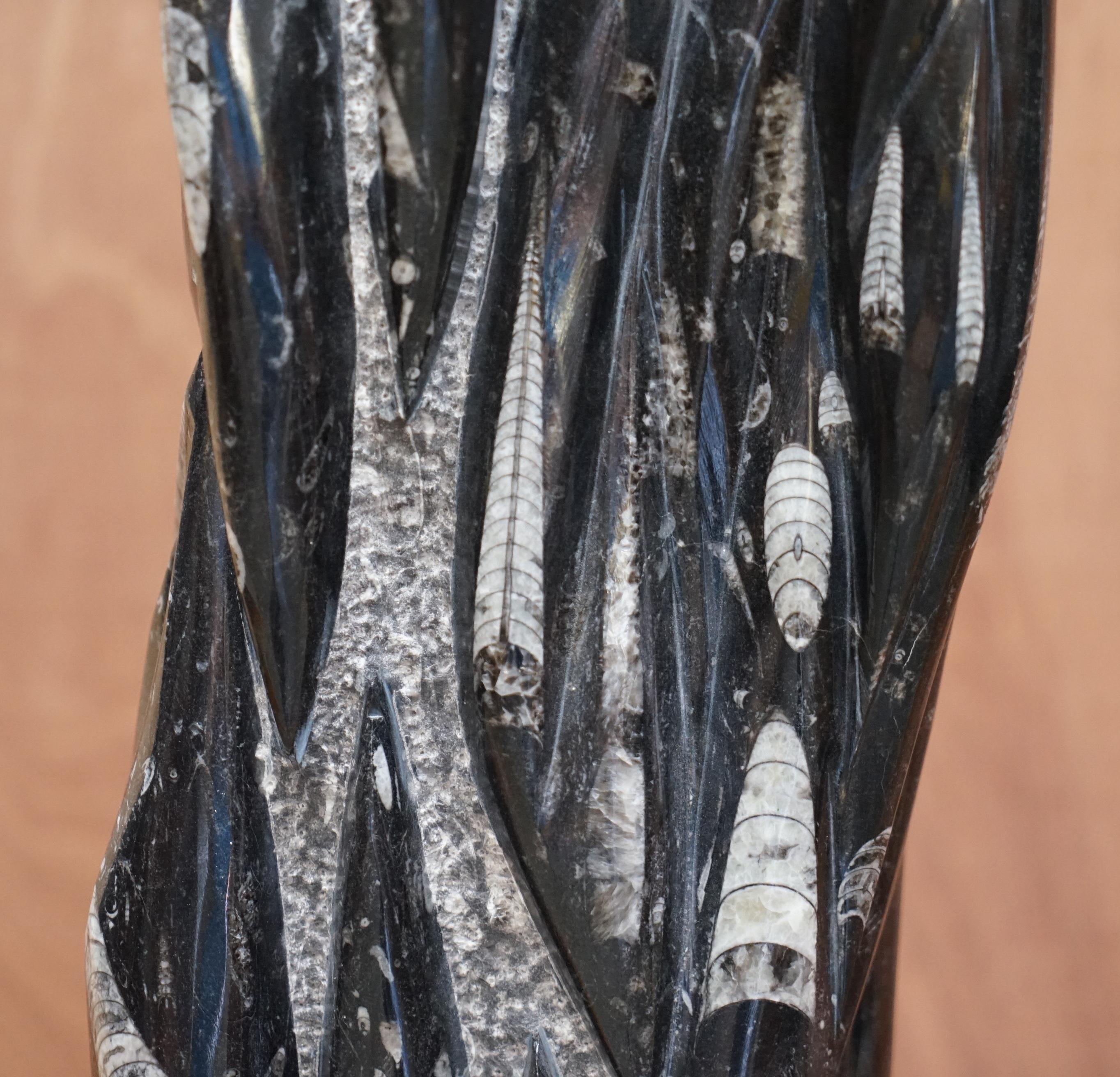 Paar große,395 Millionen Jahre alte, versteinerte Orthoceras-Marmorstatuen mit Oberfläche im Angebot 9