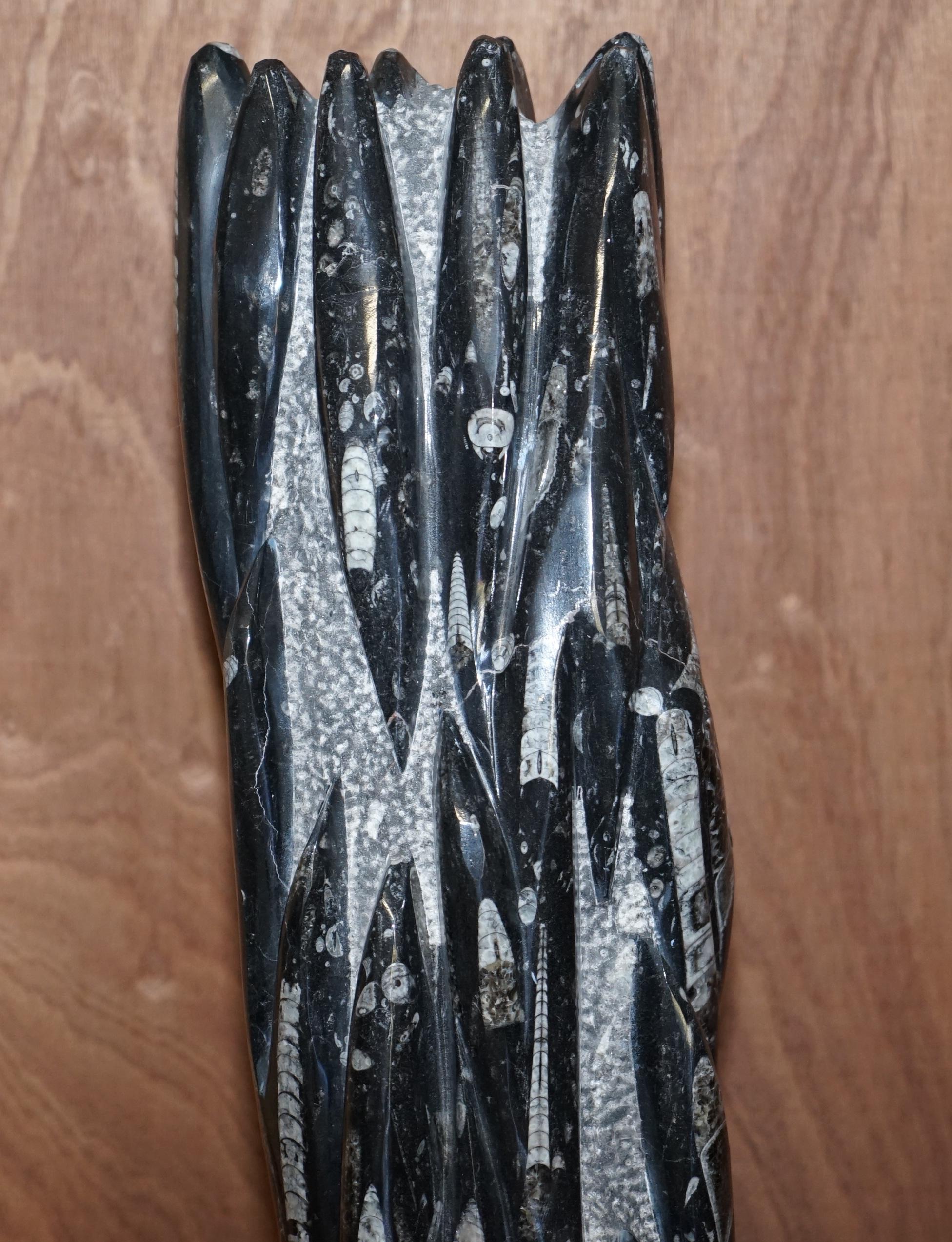 Paar große,395 Millionen Jahre alte, versteinerte Orthoceras-Marmorstatuen mit Oberfläche (Sonstiges) im Angebot