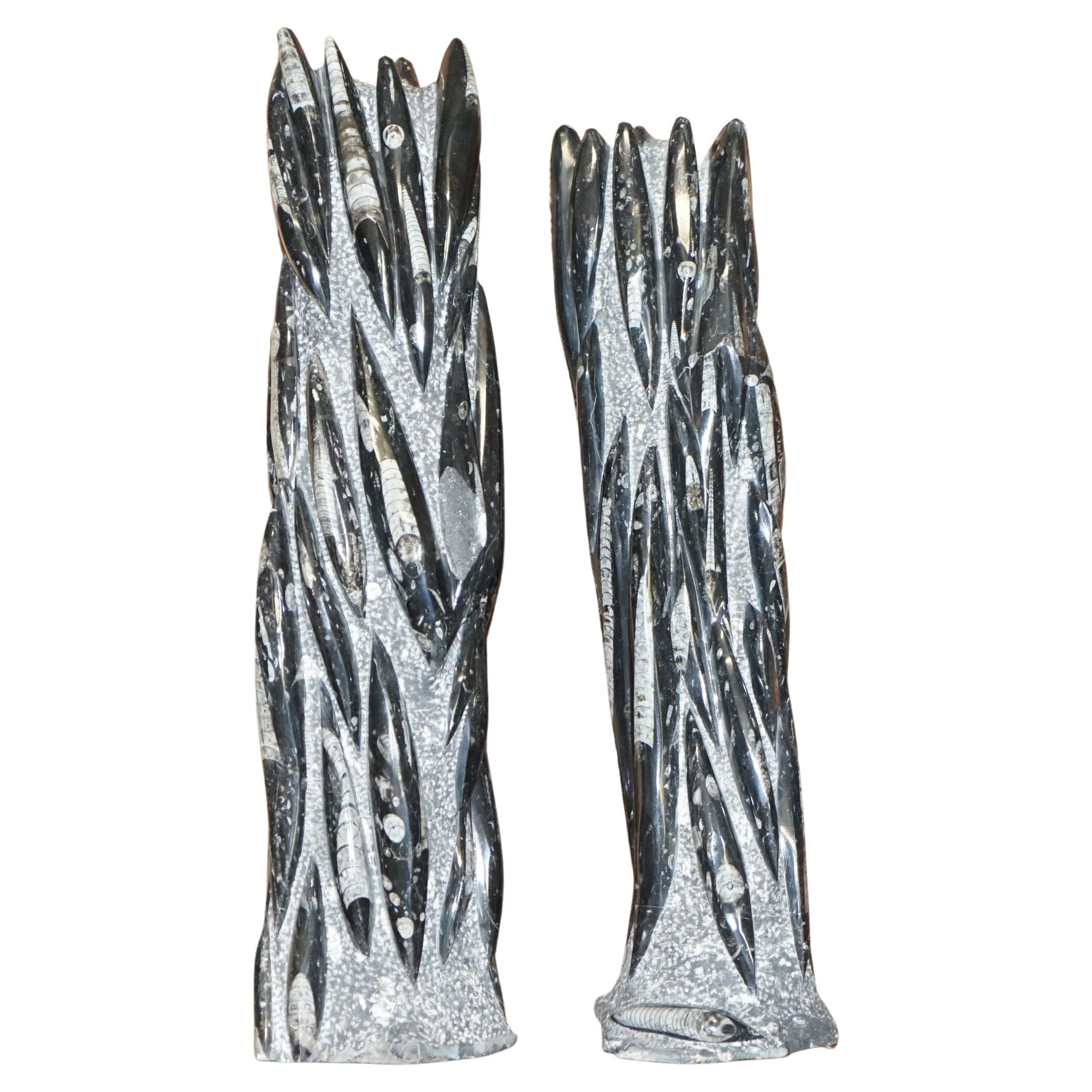 Pair of Large 395 Million Year Old Fossilized Orthoceras Marble Finish Statues For Sale