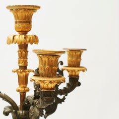 Pair of Large Charles X Candelabrum