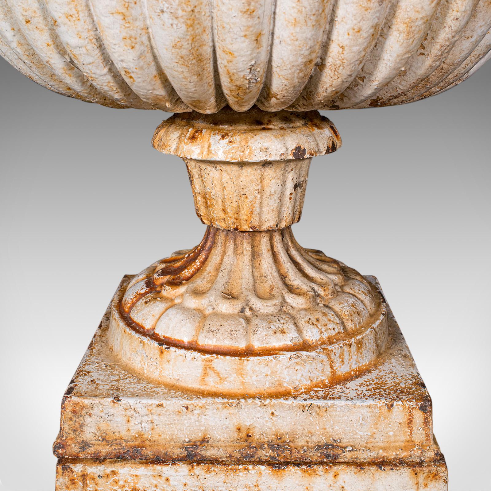 Pair of Large Antique Garden Planters, English Cast Iron, Jardiniere, Victorian For Sale 3