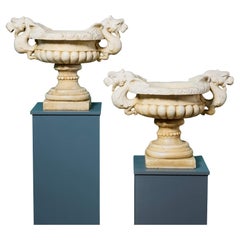Pair of Large Antique Italian Carrara Marble Urns with Dragon Handles
