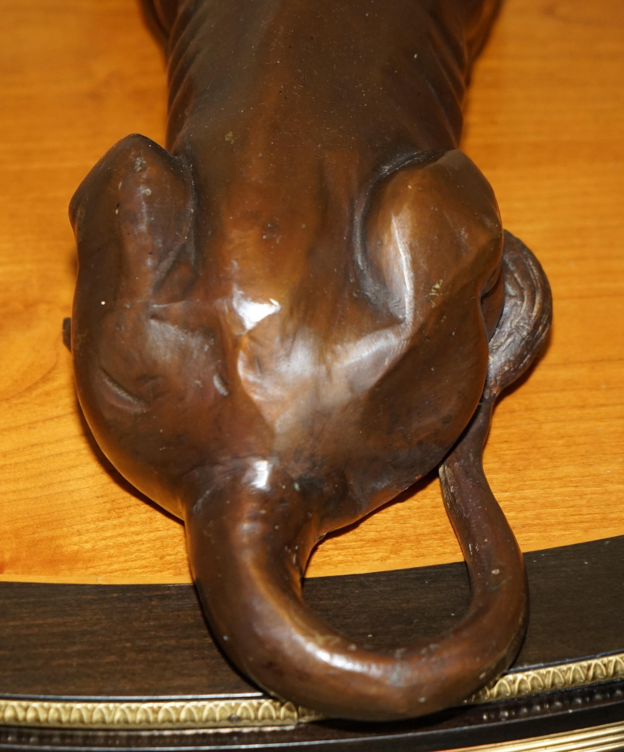COPPIA DI GRANDI STATUE DI LEONE RECUMBANTE ANTICO IN BRONZO SUPER DECORATIVE DA VEDERE in vendita 4