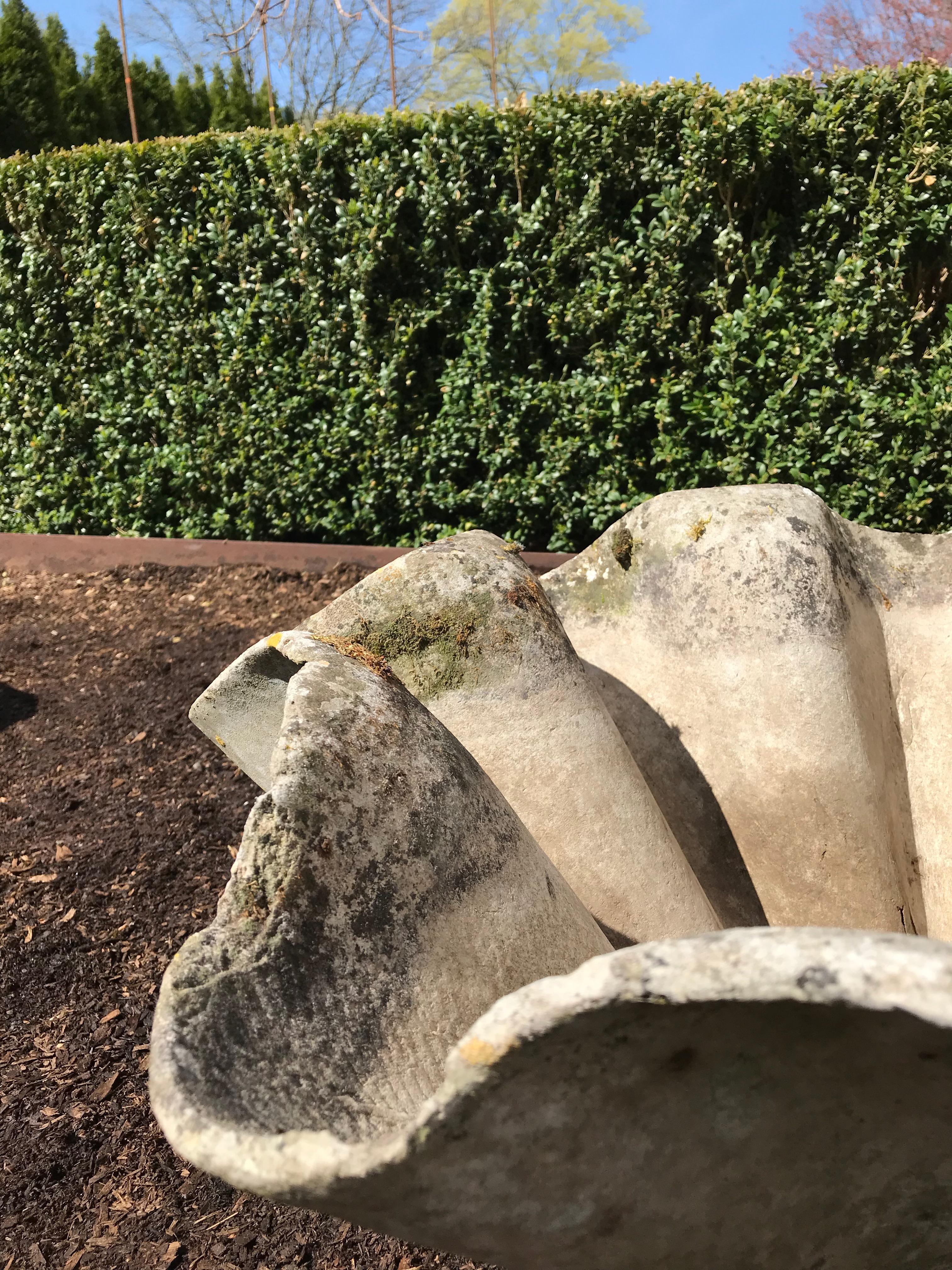 Pair of Large Biomorphic Planters by Willy Guhl 2