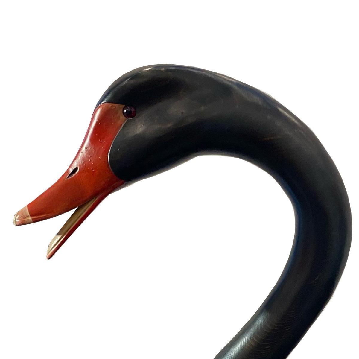 Pareja de grandes cisnes negros Italiano en venta