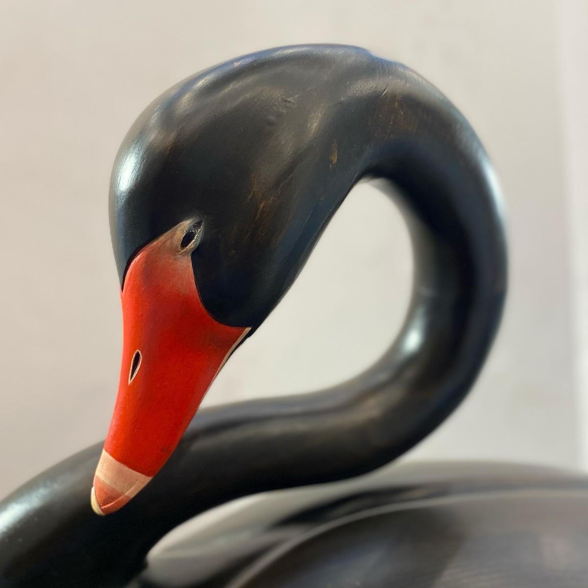 Pareja de grandes cisnes negros Tallado a mano en venta