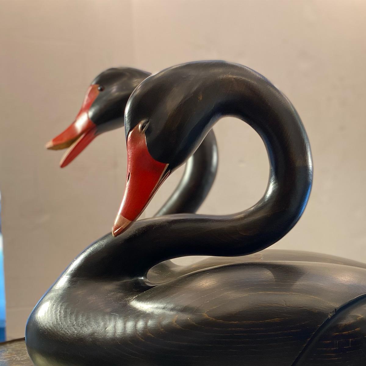 Pareja de grandes cisnes negros en Bueno estado para la venta en New York, NY