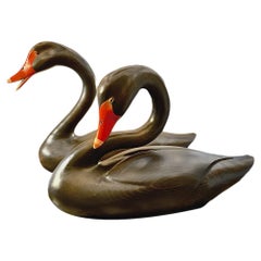 Pareja de grandes cisnes negros