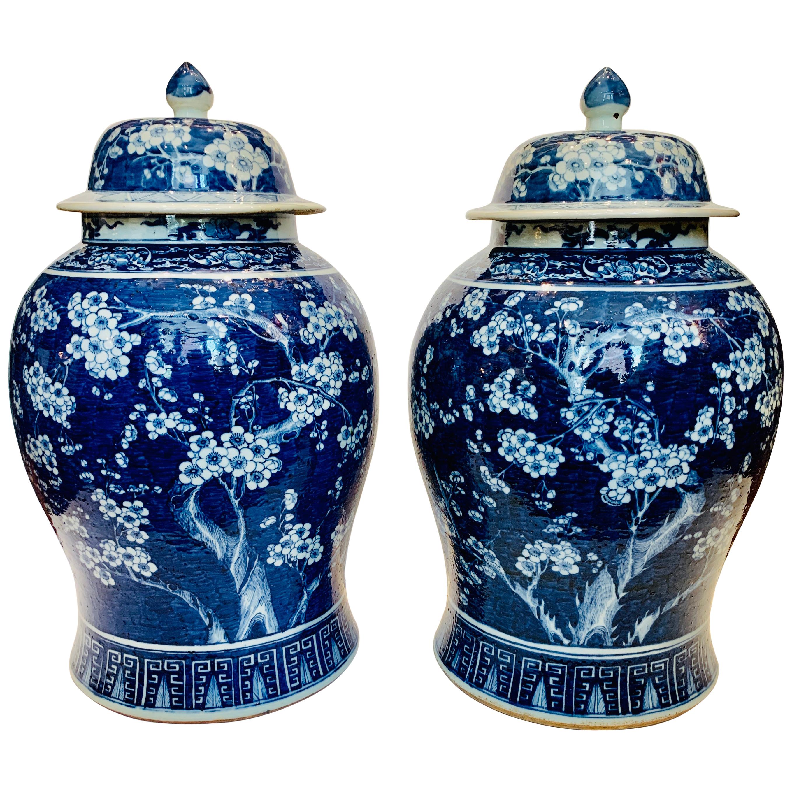 Pair of Large Blue and White Chinese Porcelain Jars Antique Qing Dynasty