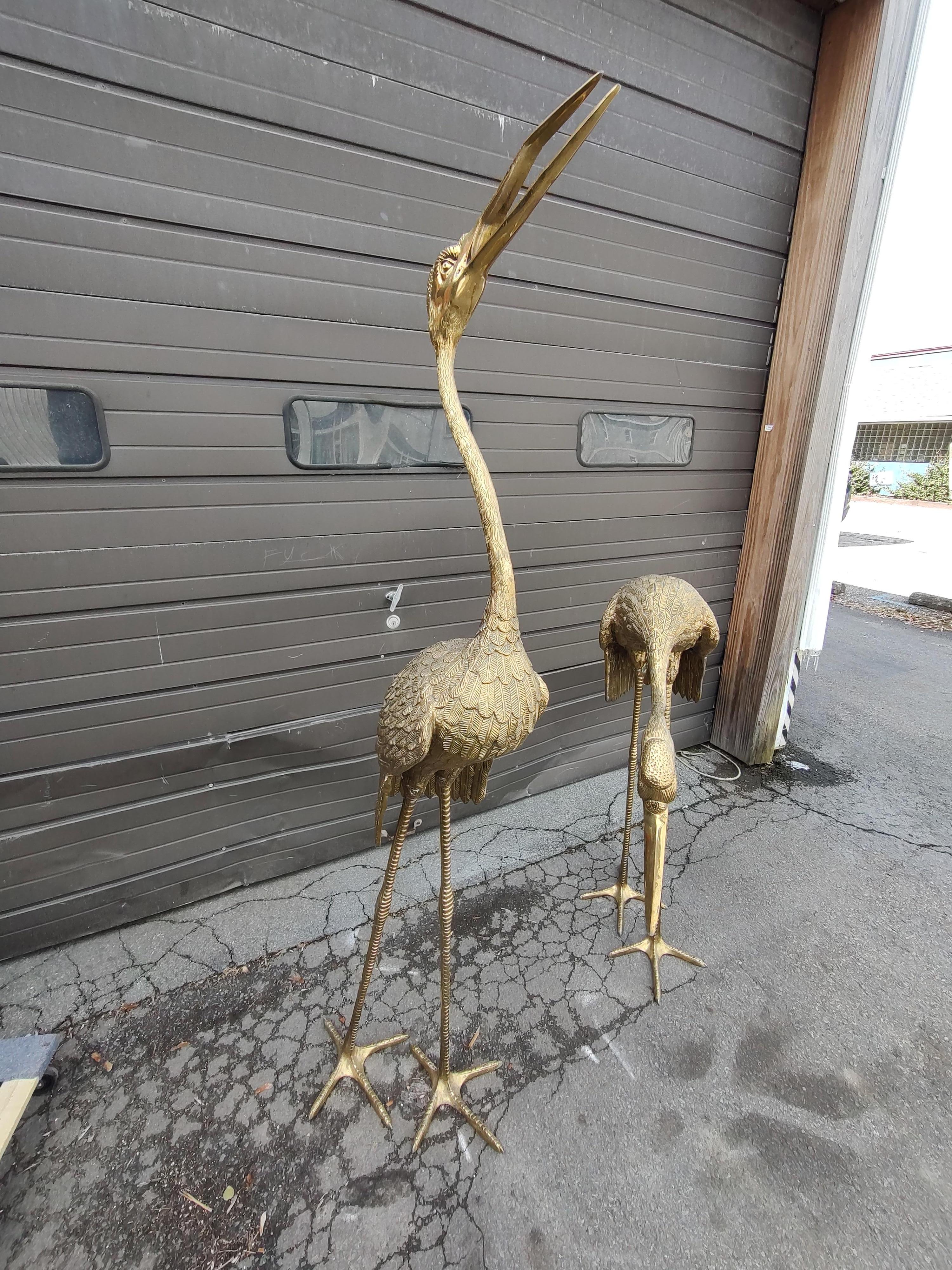 Italian Pair of Large Brass Garden Cranes / Herons Statuary Indoor - Outdoor C1970 For Sale