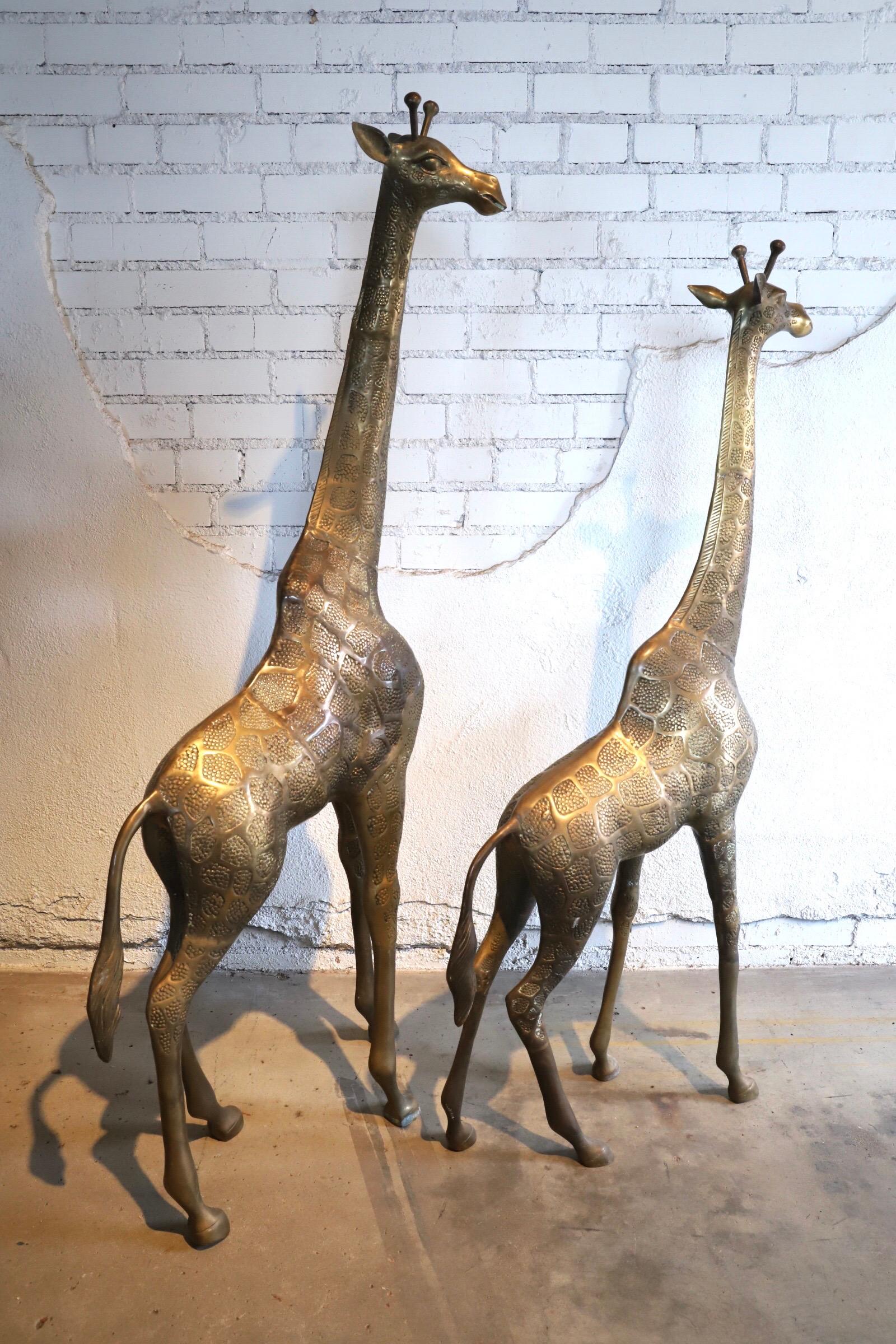 Pair of Large Brass Giraffes 4