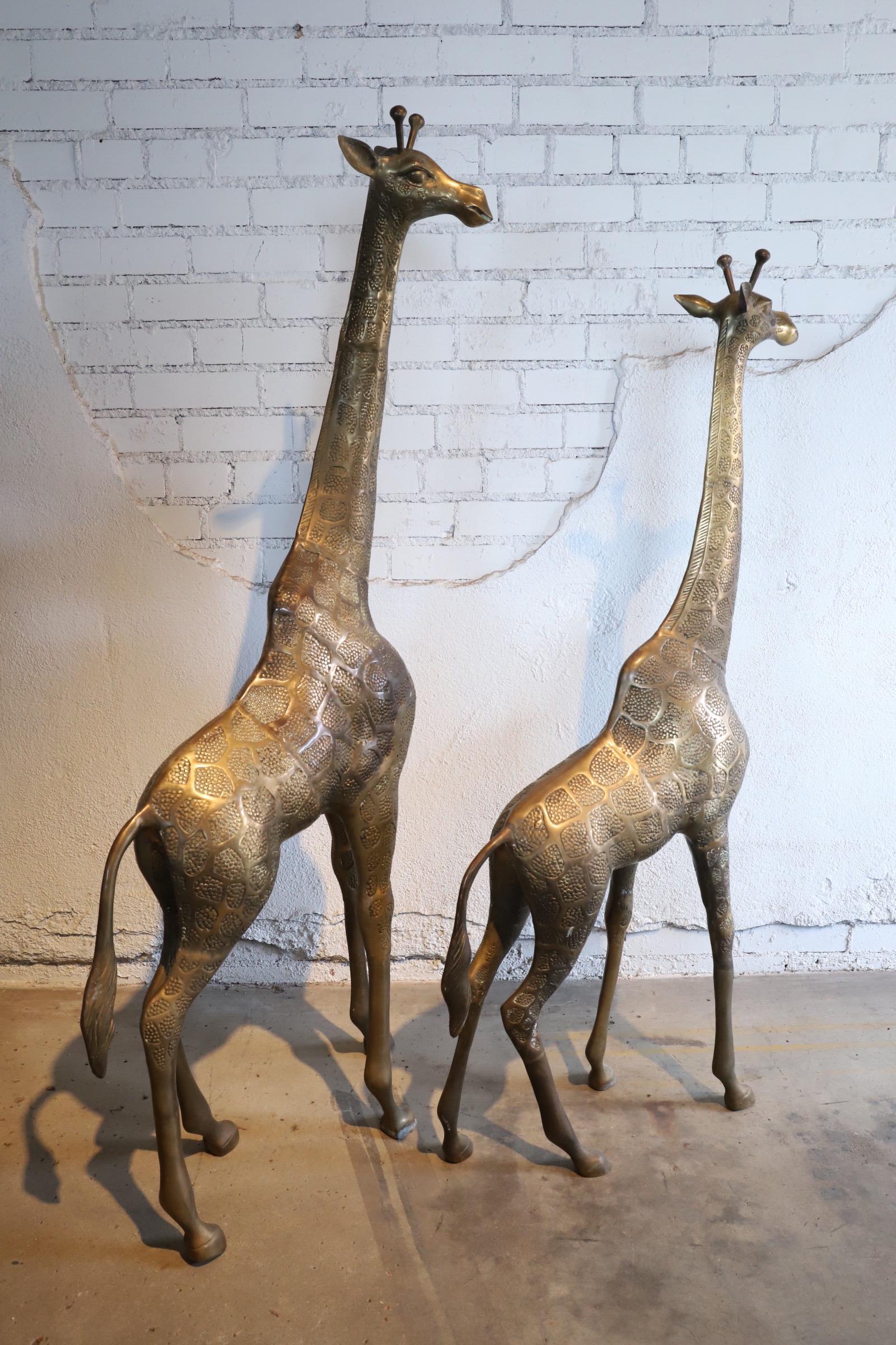 Wonderful pair of large Hollywood Regency style brass giraffe animal statues. Large measures 55.5