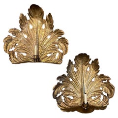Pair of Large Brass Leaf Sconces