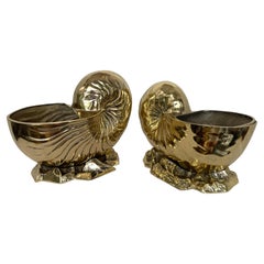 Pair of Large Brass Nautilus Bottle Coolers or Planter