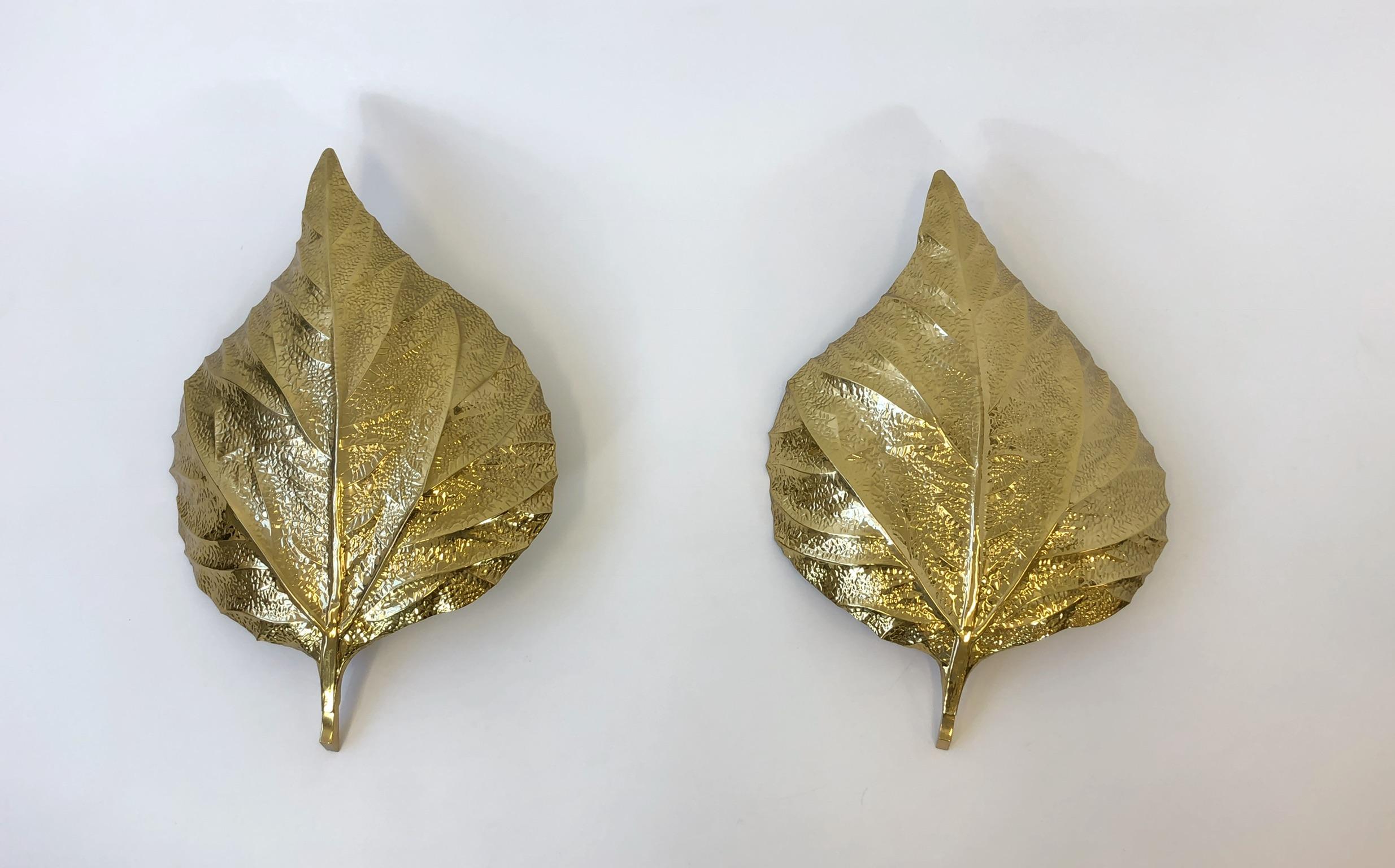 A spectacular pair of large brass rhubarb leafs wall sconces, design by Tommaso Barbi for Carlo Giorgi in the 1970s. The Scones can be direct wired or with a cord. The sconces take a regular Edison light bulb. 75w is highest recommended.
Dimension: