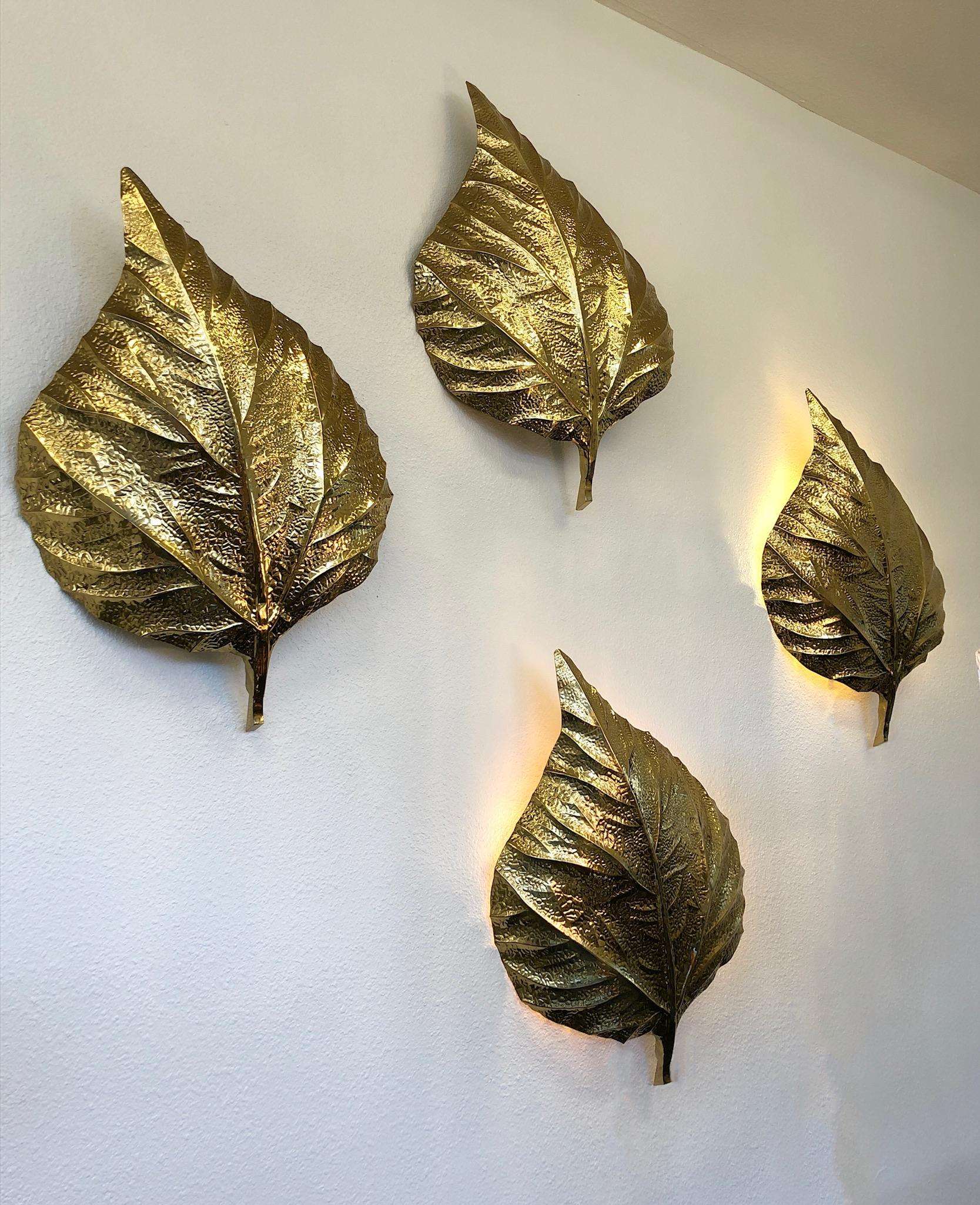 Pair of Large Brass Rhubarb Leafs Wall Scones by Tommaso Barbi 3