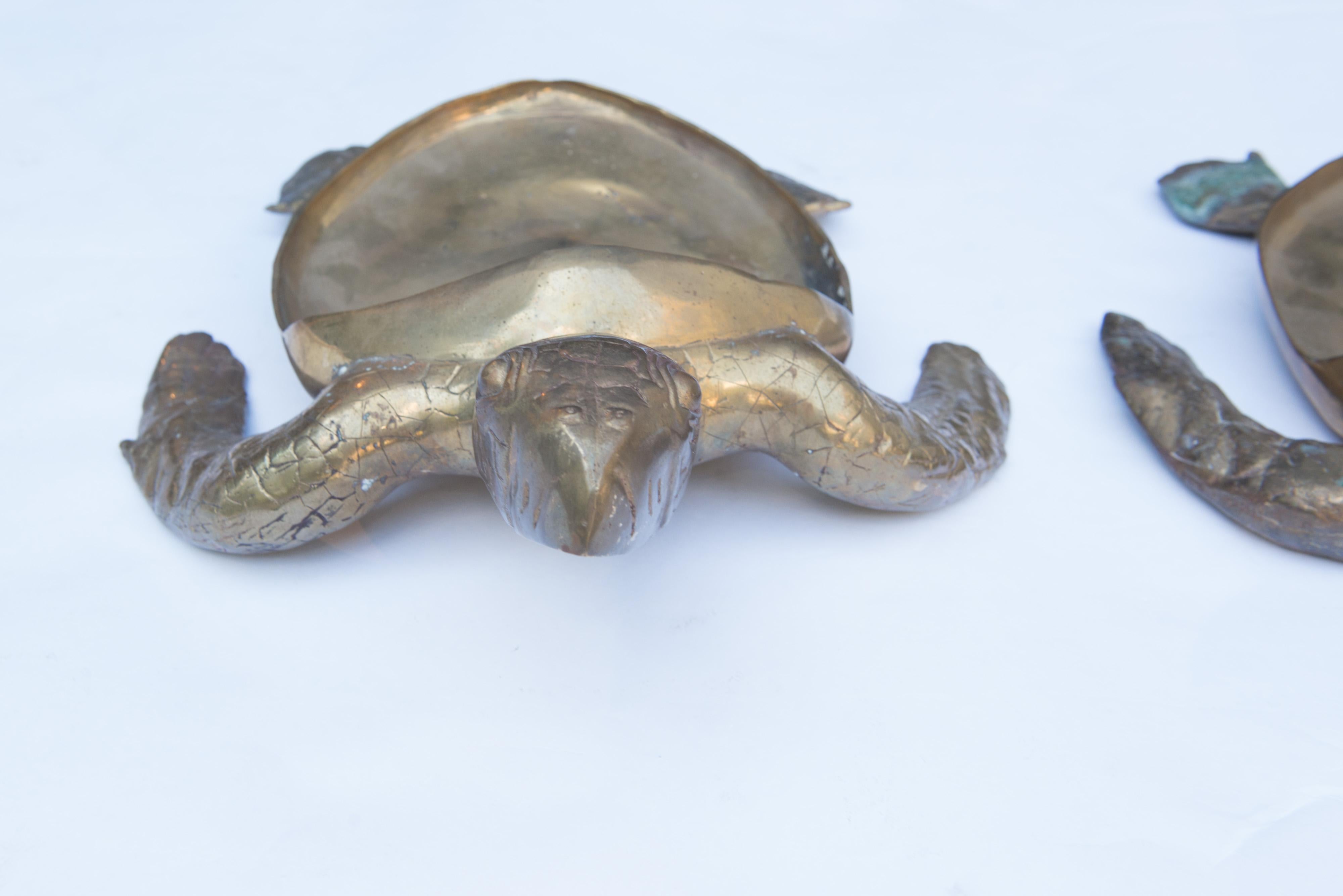 how to make a turtle planter
