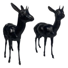 Pair of Large Bronze African Diks Diks Sculptures Life Size