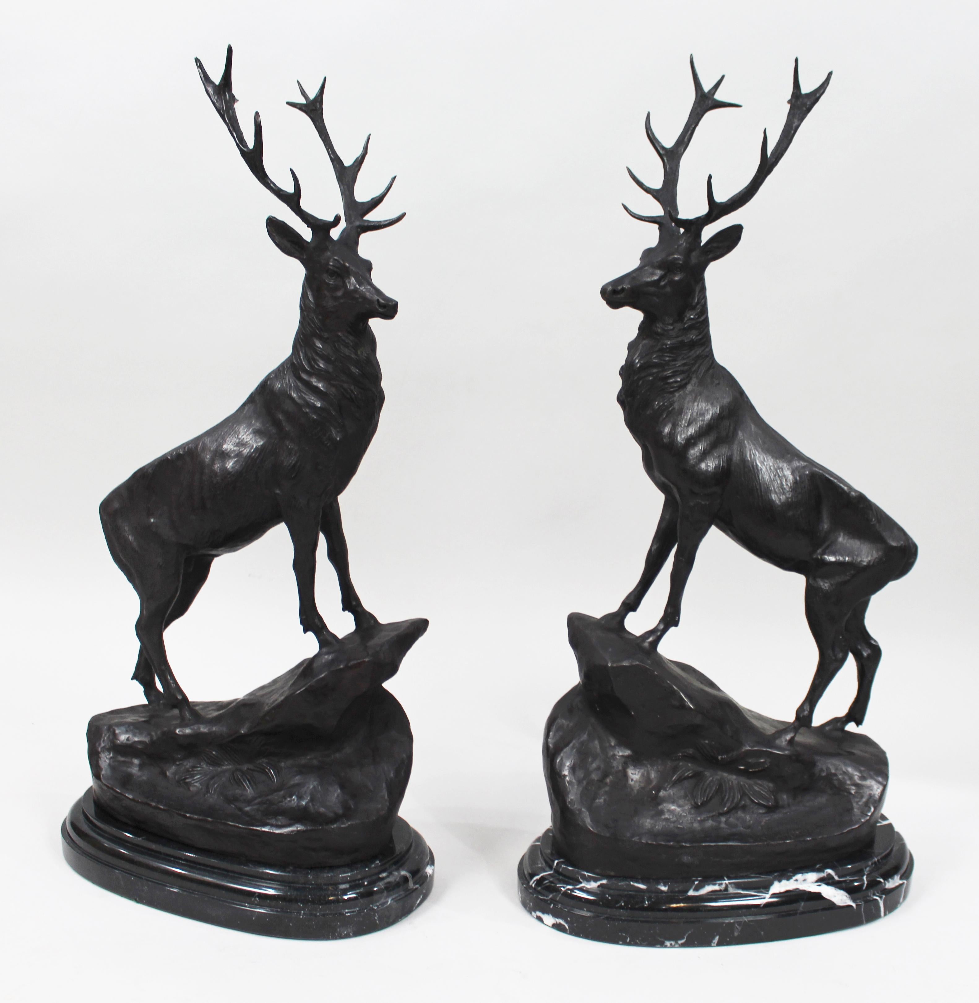 Pair of Large Bronze Stags on Marble after Jules Moigniez


Offered for sale a handsome pair of bronze stags, bearing the signature of 19th century French Animalier sculptor Jules Moigniez, from the last quarter of the 20th century.

The stags