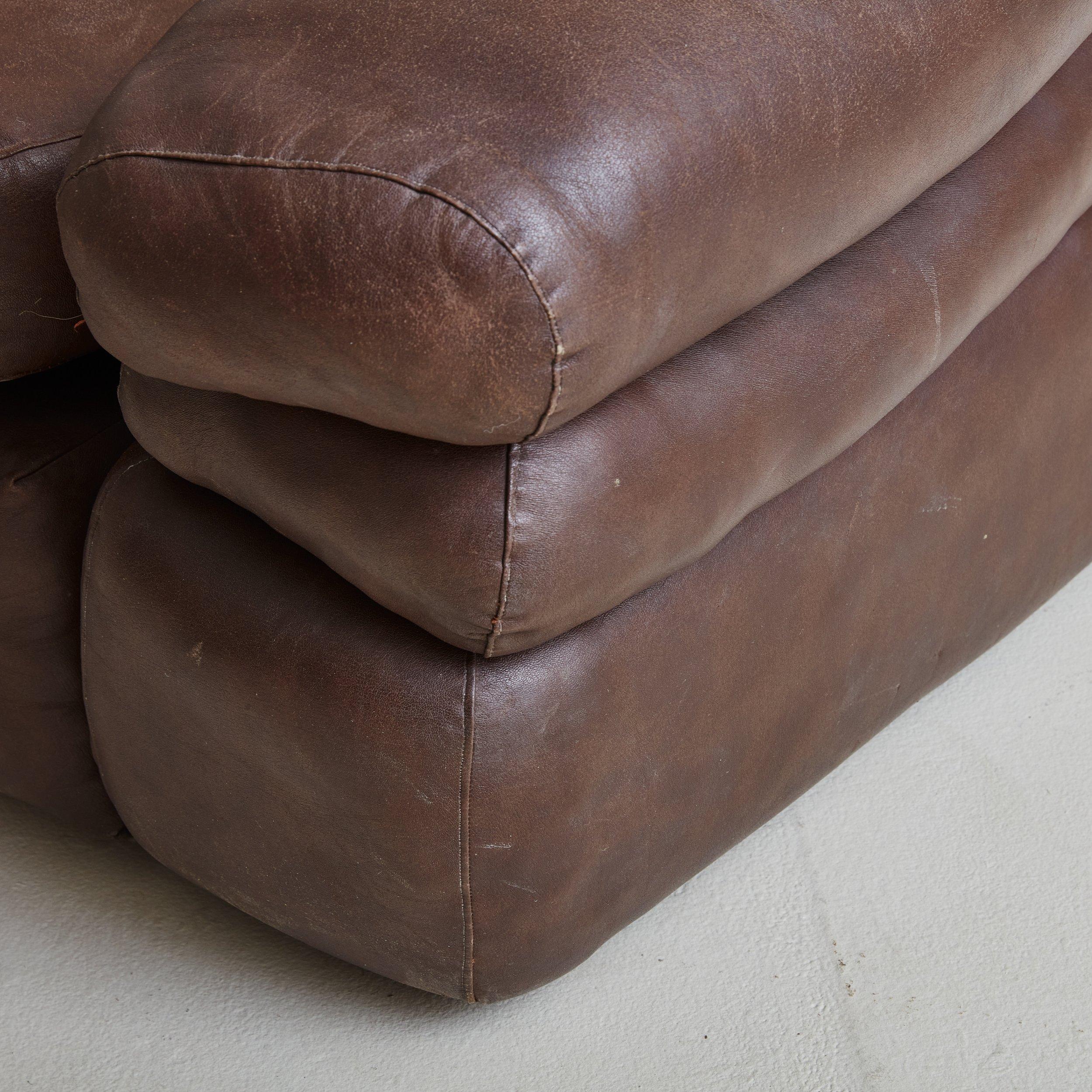 Pair of Large Brown Leather Lounge Chairs by de Pas, D’Urbino & Lomazzi, Italy For Sale 4